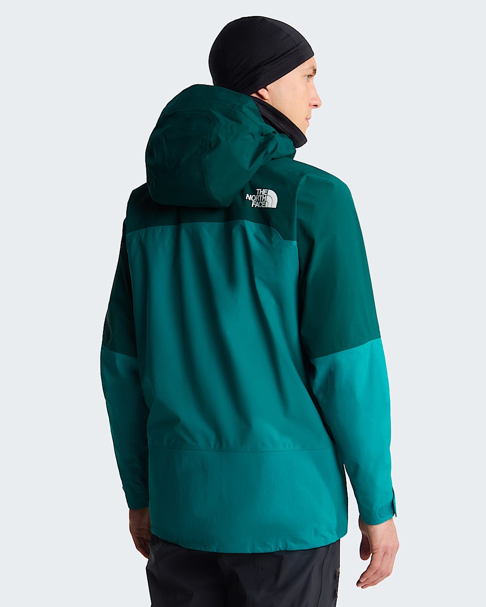 Mens Summit Torre Egger FUTURELIGHT Jacket TNF alt3