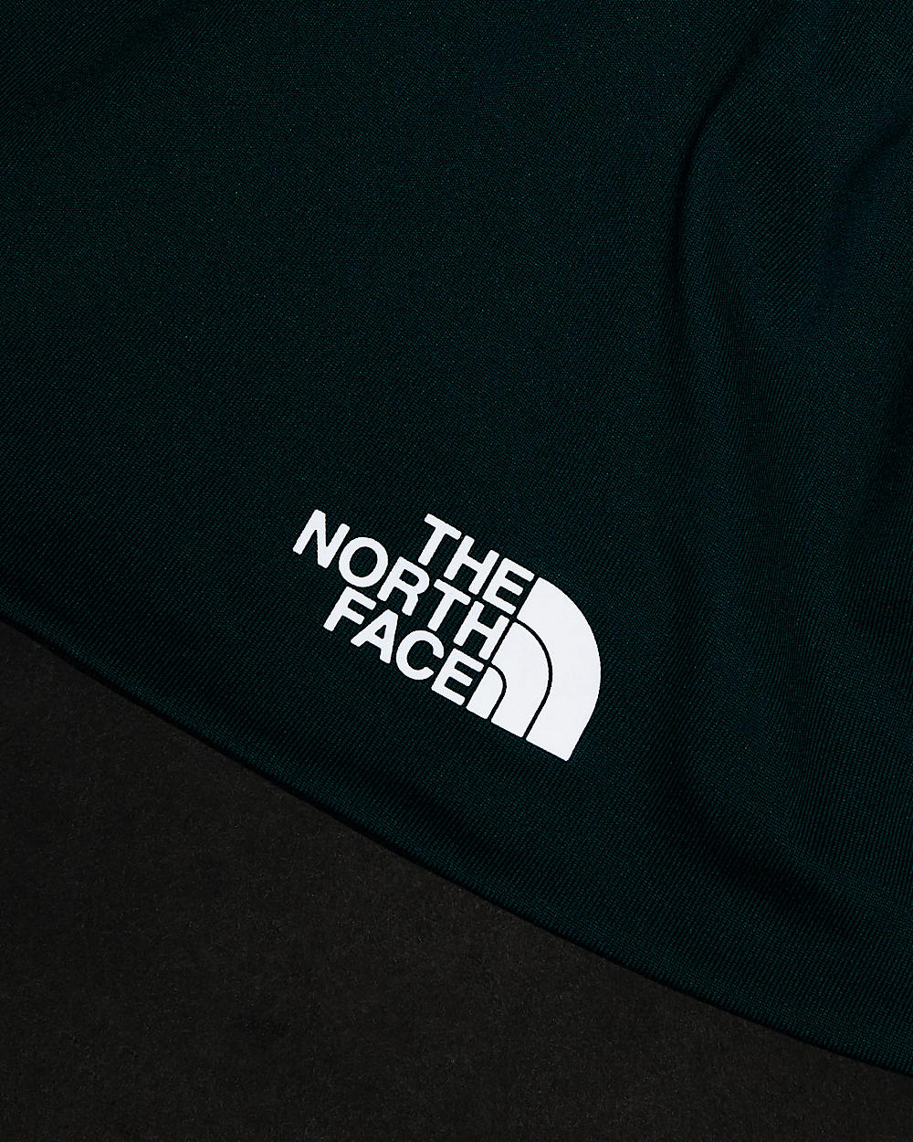 Beanie Base TNF ALT20