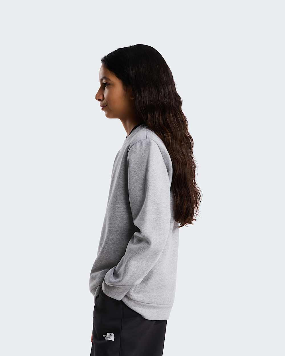Evolution Box NSE Sweatshirt fr Jugendliche TNF ALT15