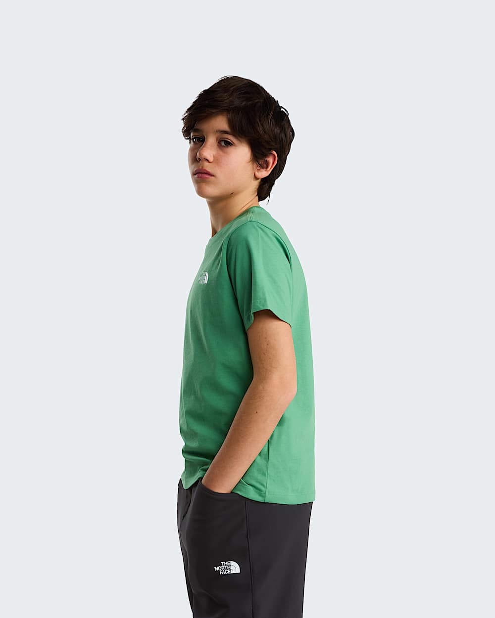 Modzieowy Tshirt Evolution Simple Dome TNF Dimmed Algae ALT2