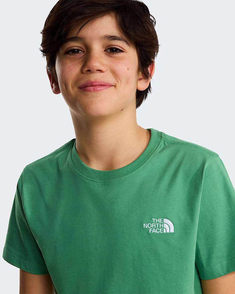 Modzieowy Tshirt Evolution Simple Dome TNF Dimmed Algae ALT4