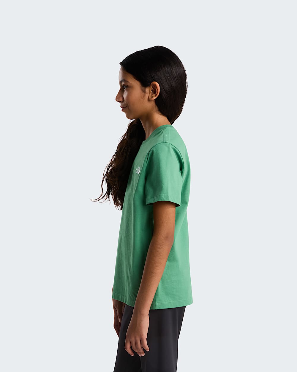 Modzieowy Tshirt Evolution Simple Dome TNF Dimmed Algae ALT14