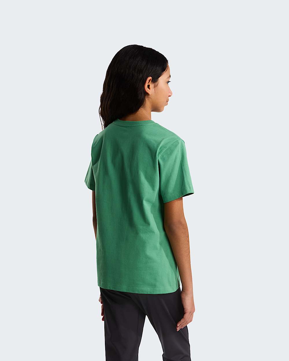 Modzieowy Tshirt Evolution Simple Dome TNF Dimmed Algae ALT15
