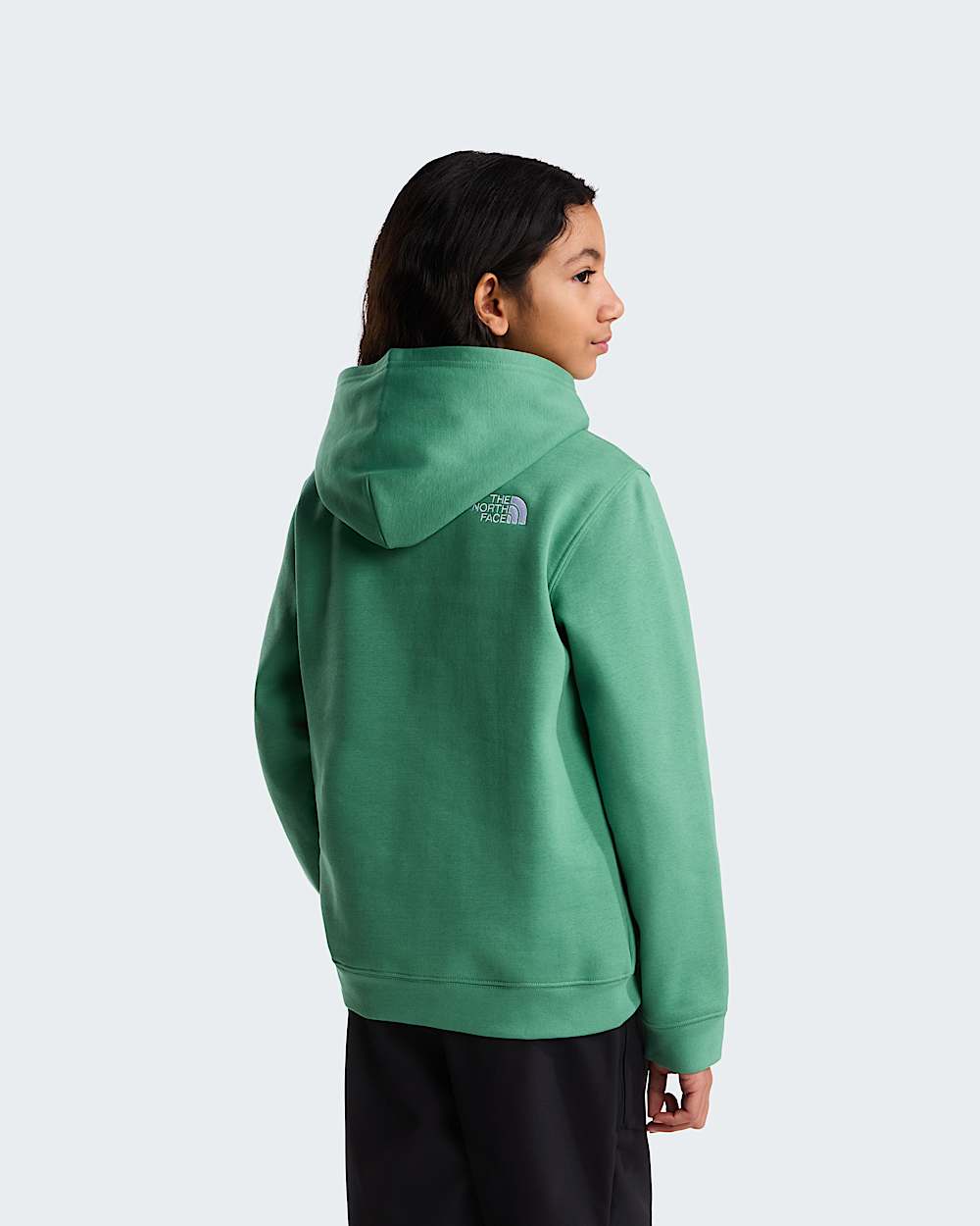 TNF Essential Drew Peak hoodie voor tieners TNF Dimmed Algae ALT15