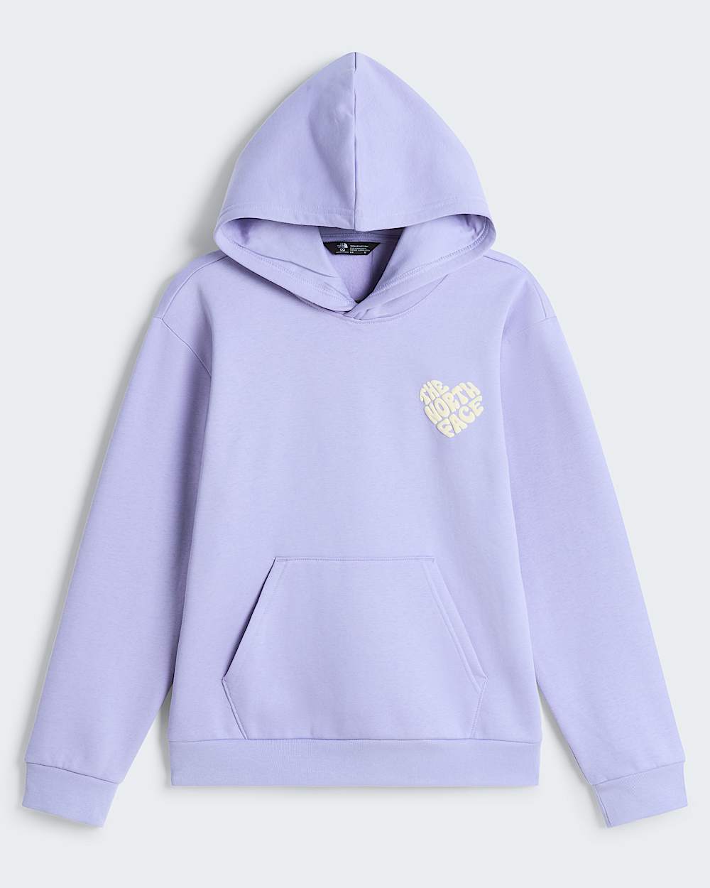 Brand Proud Relaxed Graphic Hoodie Girl TNF ALT30