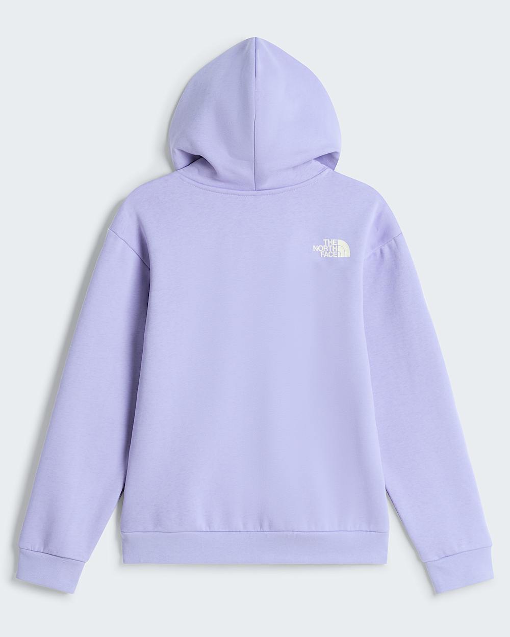 Brand Proud Relaxed Graphic Hoodie Girl TNF ALT31