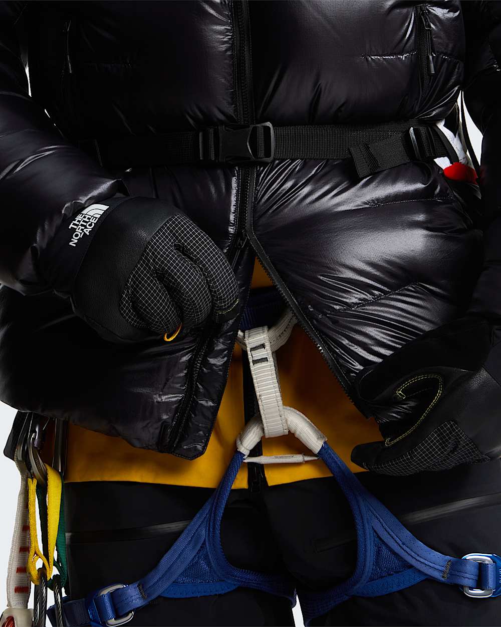 Mens Summit Pumori Down Parka TNF alt9
