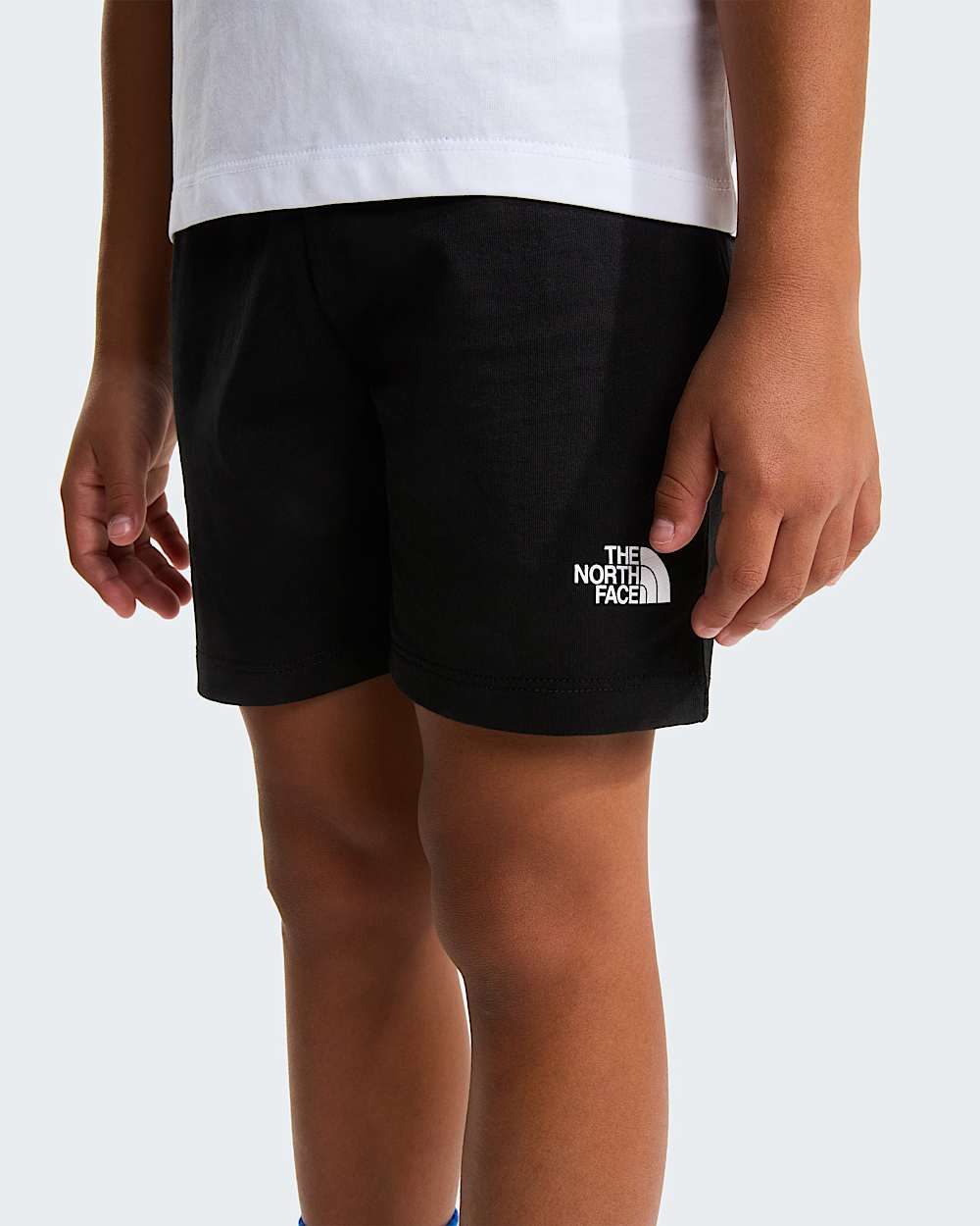 NSE Box Play Regular Shorts Set fr Kinder TNF alt13