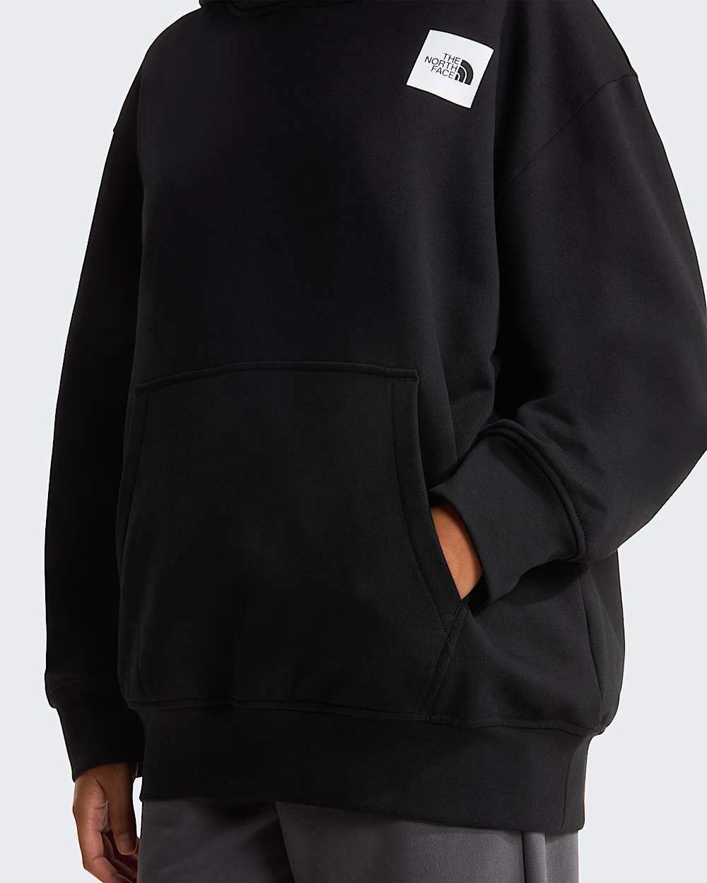 Sudadera holgada con capucha y estampado grfico Expedition Photo unisex TNF alt18