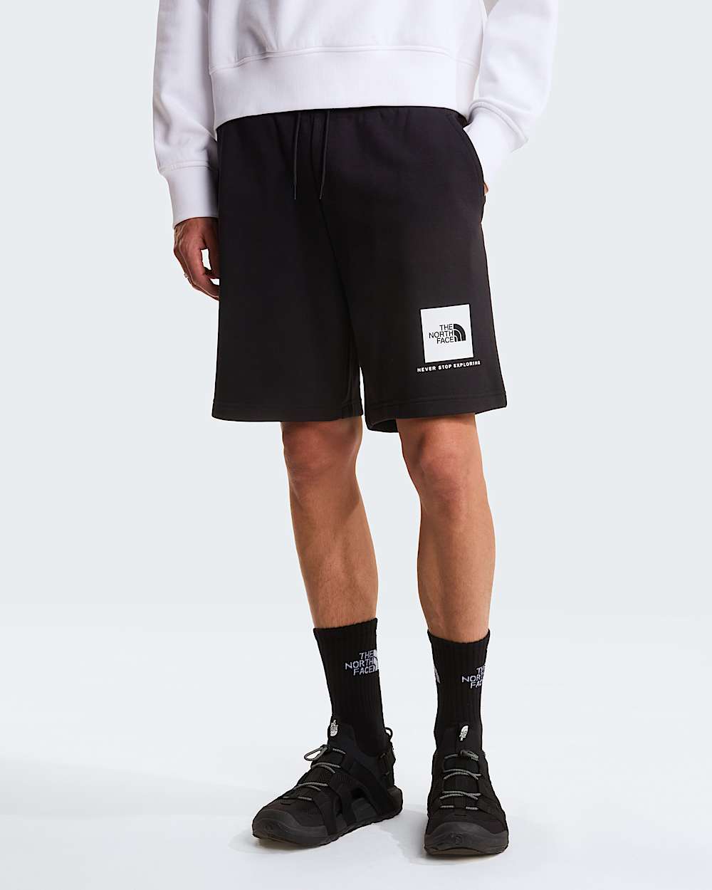 NSE Box leichte  normal geschnittene Shorts fr Herren TNF alt4