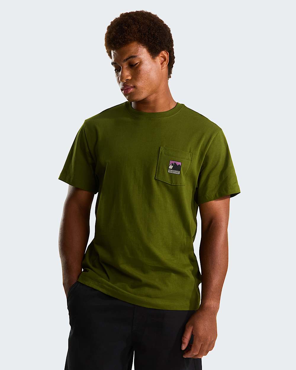 Mens Mountain Logo Relaxed Graphic TShirt TNF alt4
