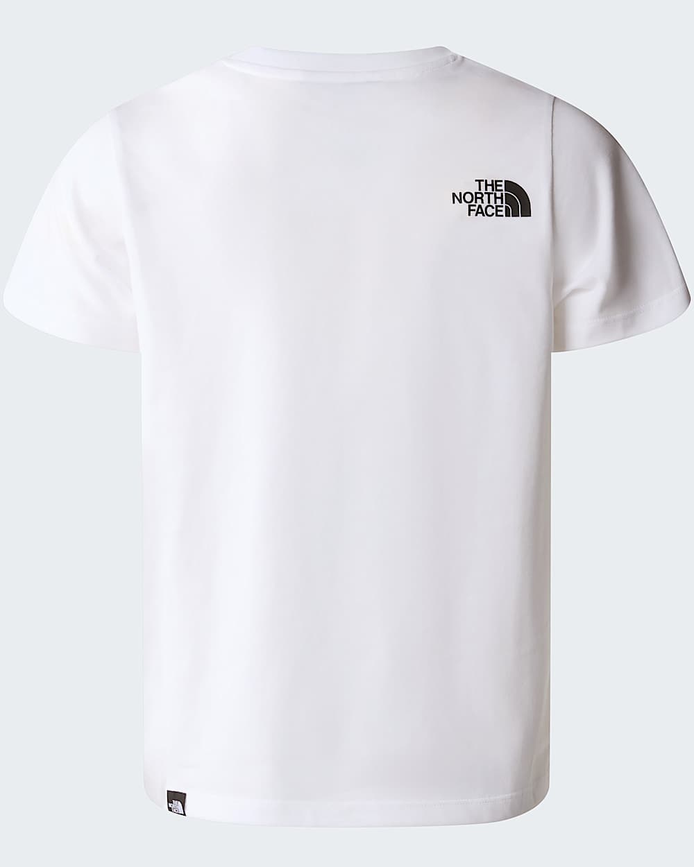 Camiseta Simple Dome para nios TNF alt1