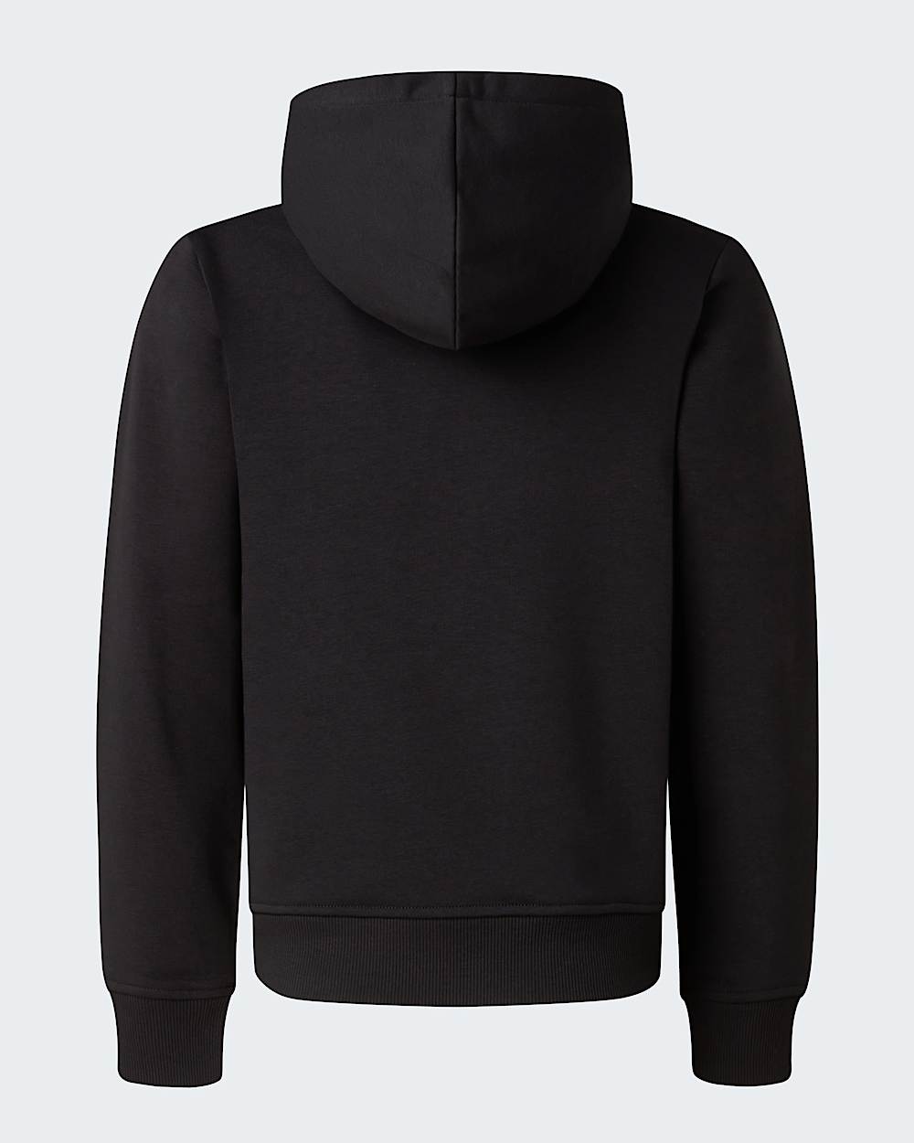Sweat  capuche standard Liquid Logo pour garon TNF alt1
