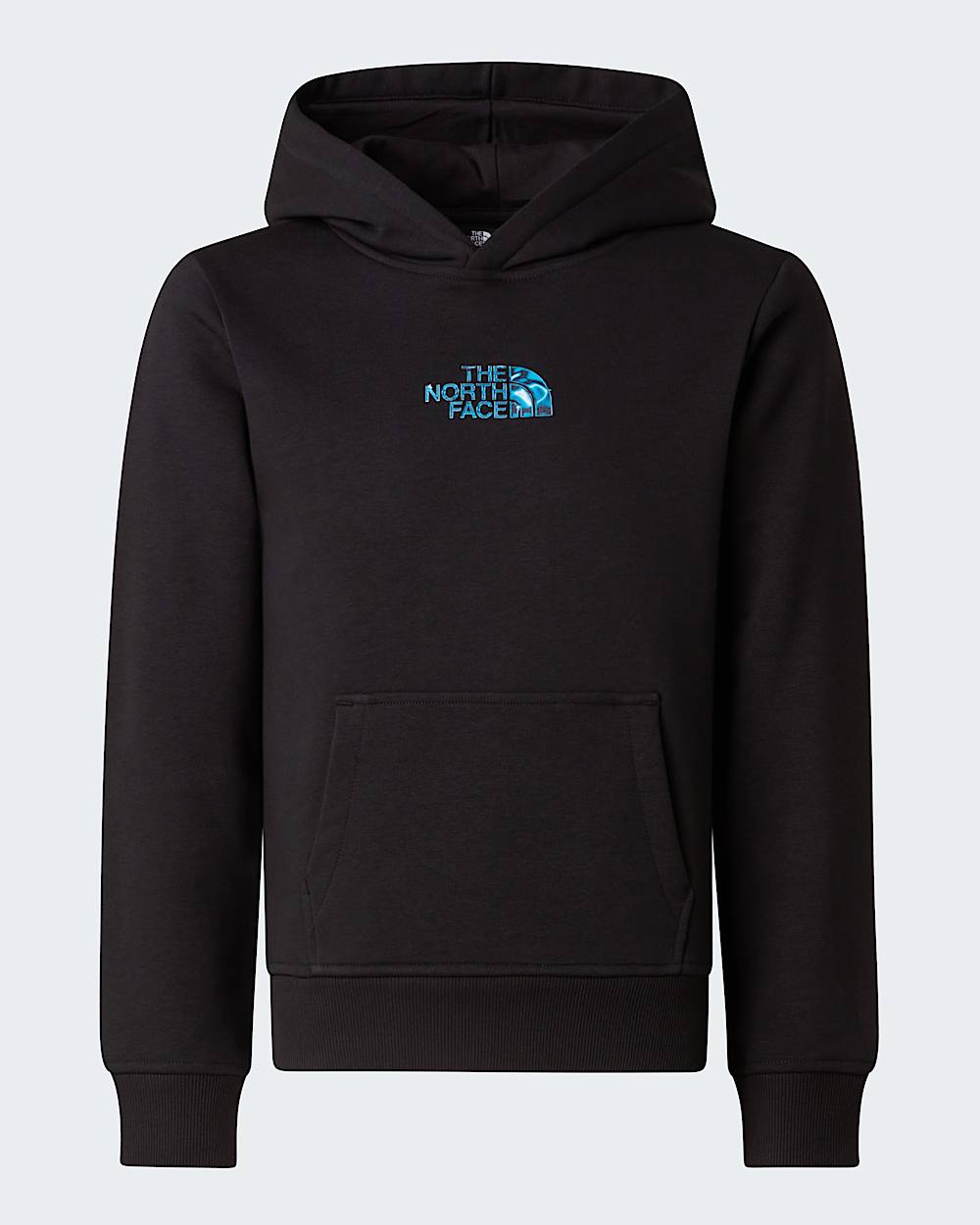 Sweat  capuche standard Liquid Logo pour garon TNF hero