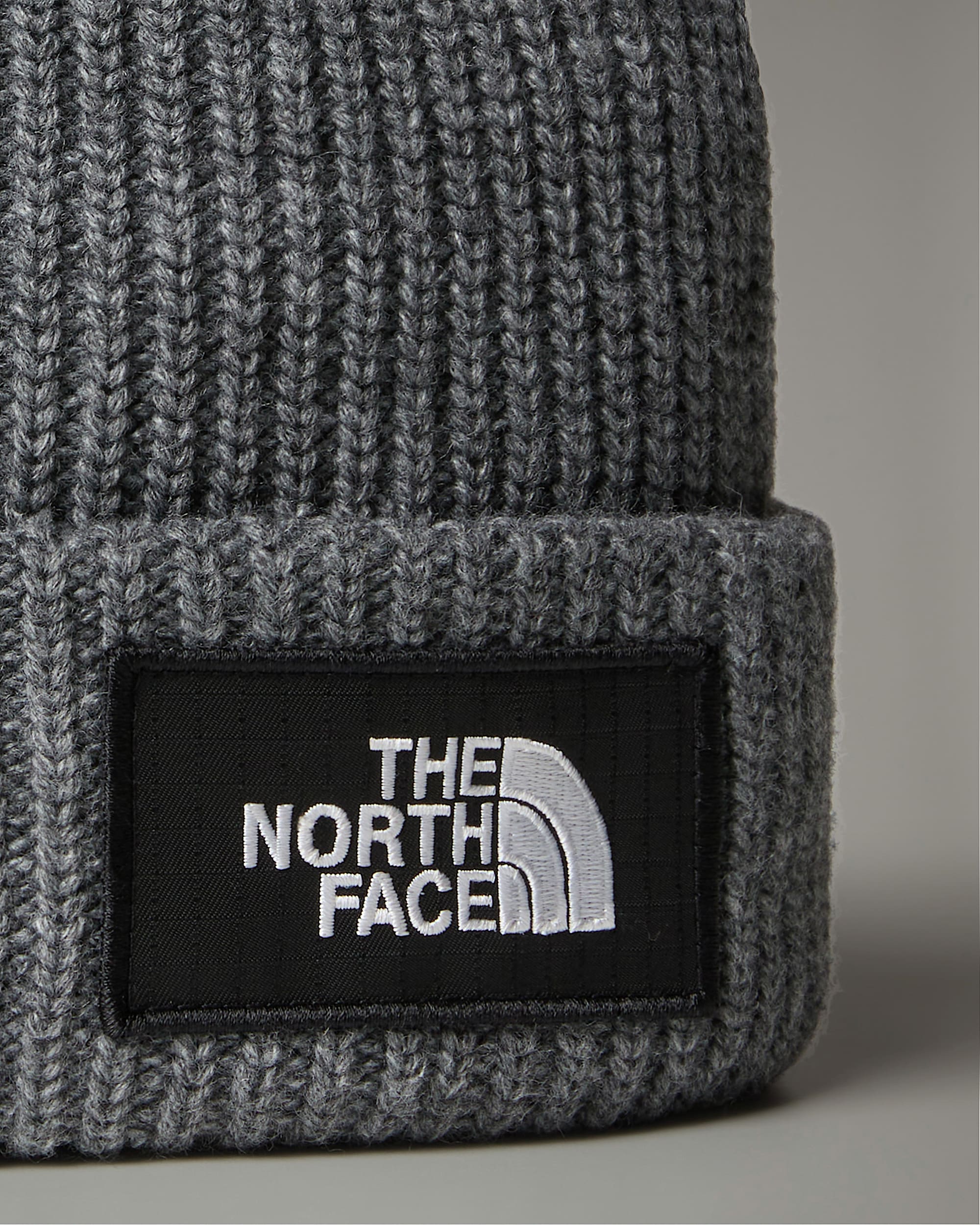 Salty Lined Beanie TNF alt2