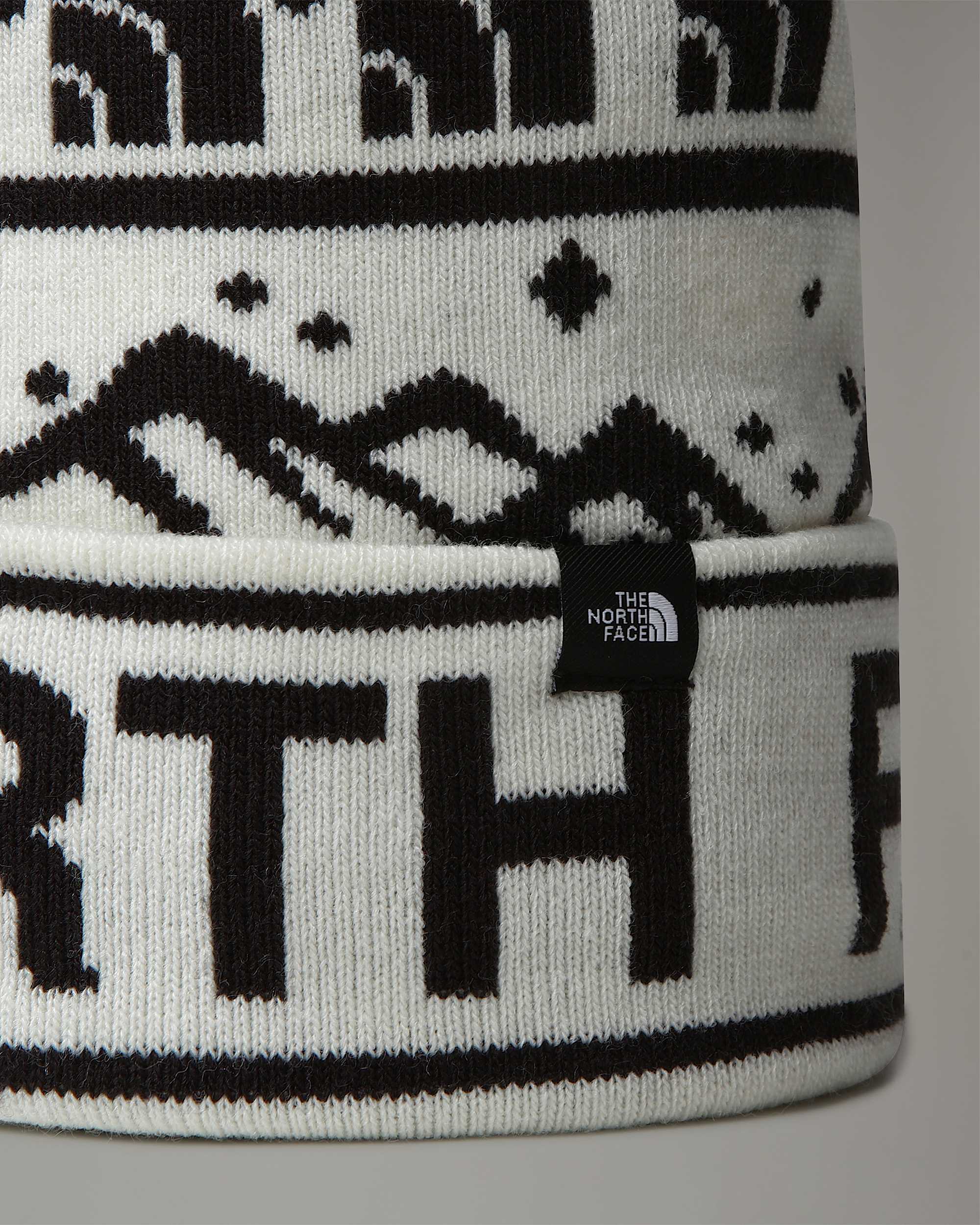 Ski Tuke Mtze TNF ALT2