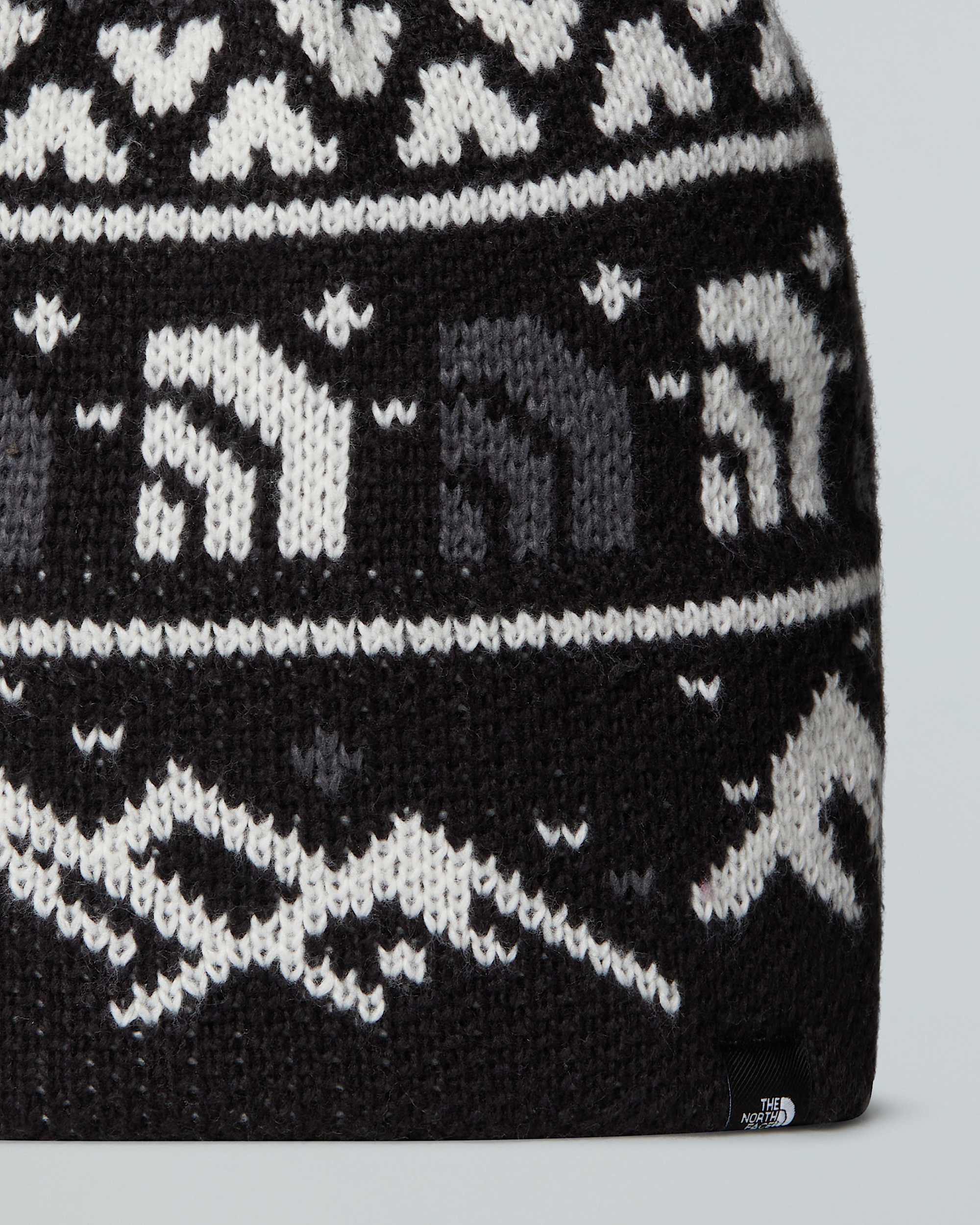 Cabin Ski Tuke Beanie TNF ALT2