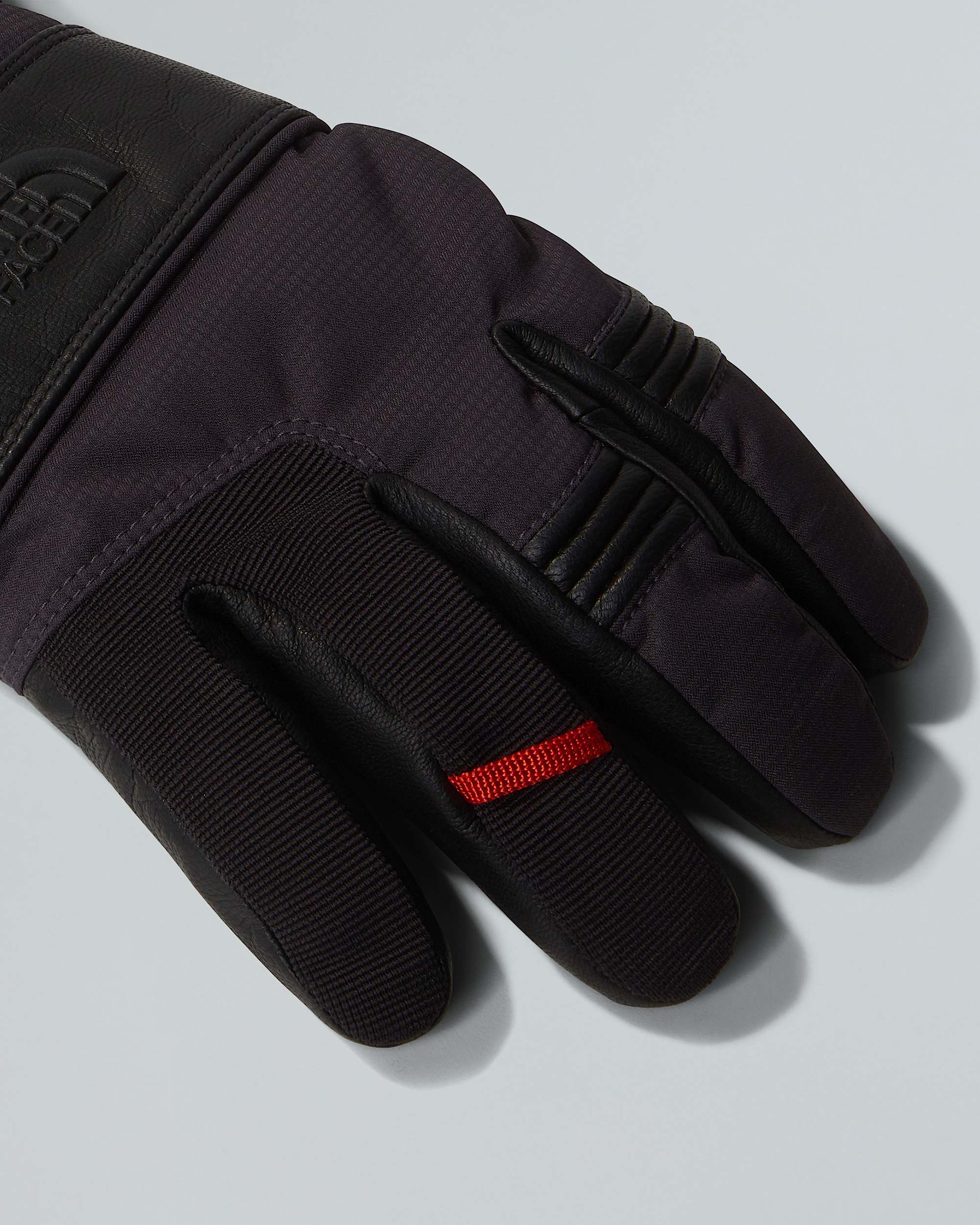 Montana Pro GORETEX Gloves TNF ALT3