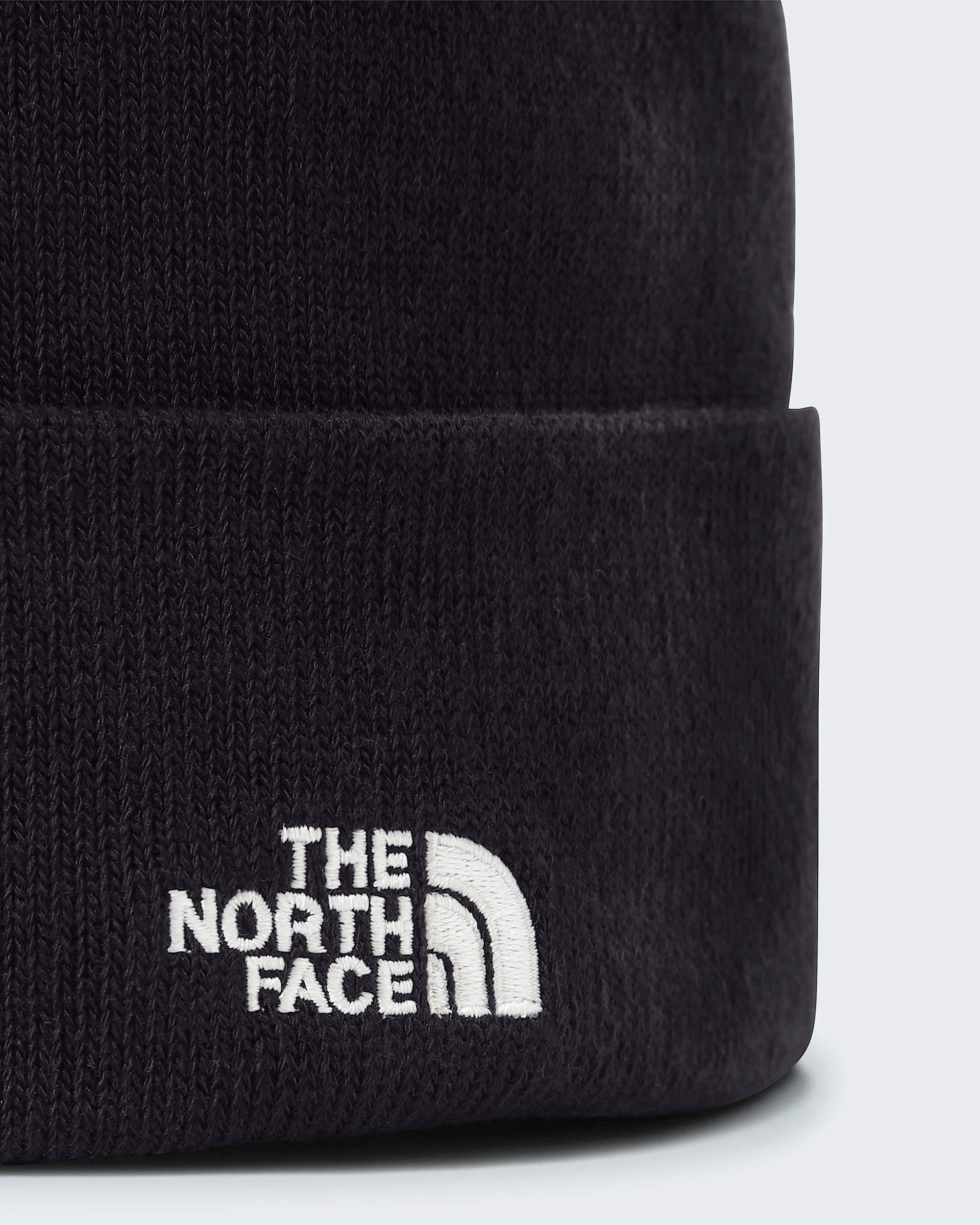 Norm Beanie TNF ALT2