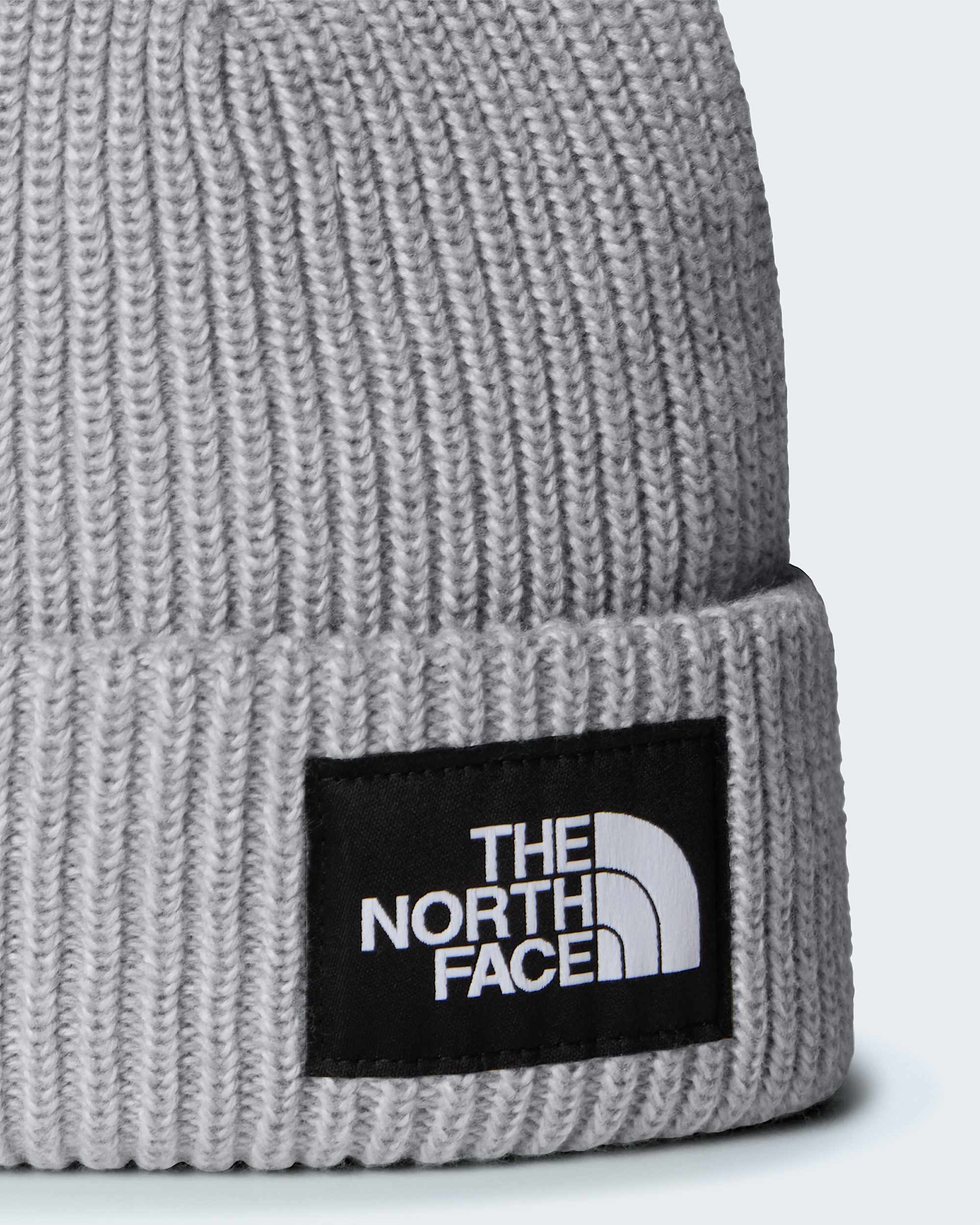 Salty Lined Beanie TNF alt2