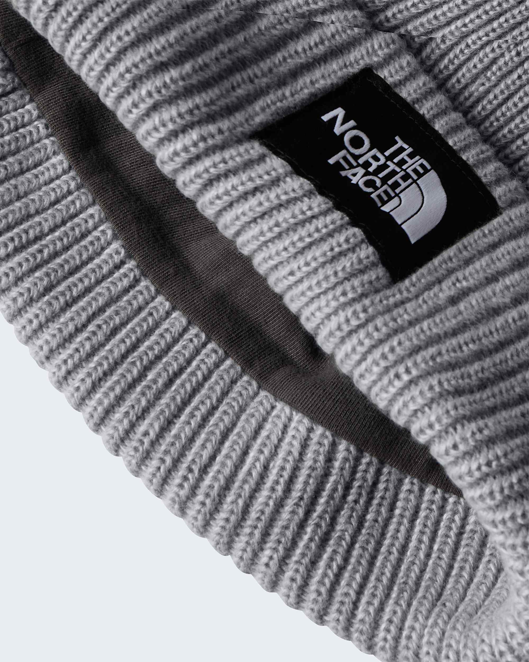 Salty Lined Beanie TNF alt3