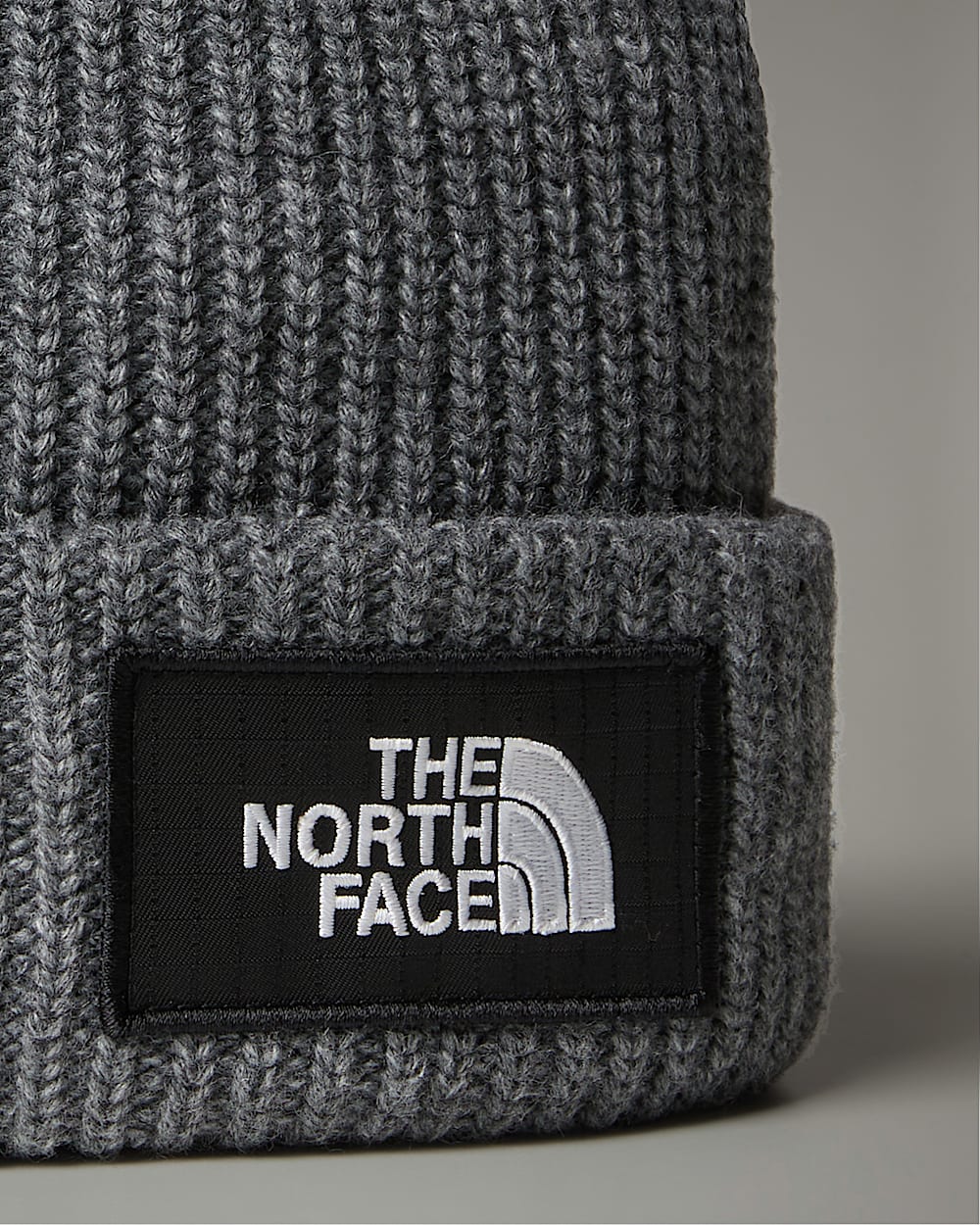 Salty Lined Beanie TNF alt2
