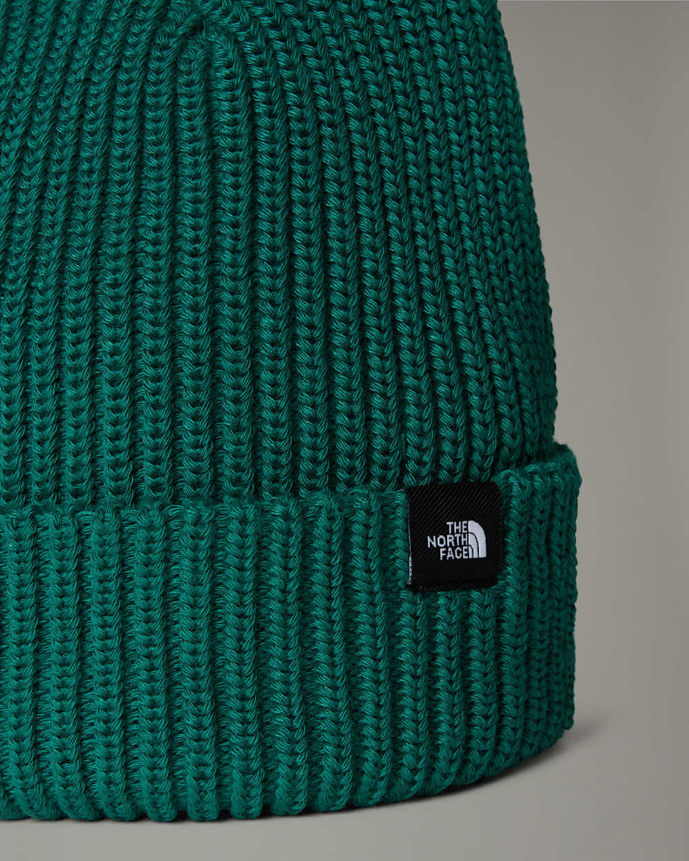 Fisherman Beanie TNF alt2