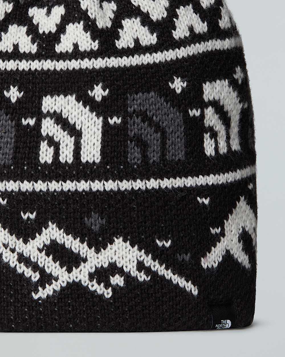 Cabin Ski Tuke Beanie TNF ALT2
