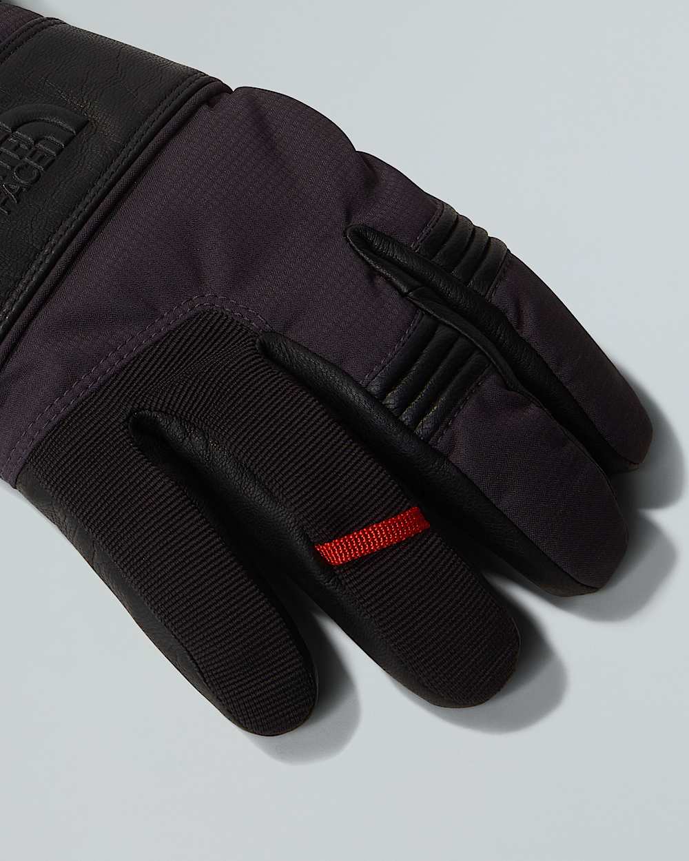Montana Pro GORETEX Gloves TNF ALT3