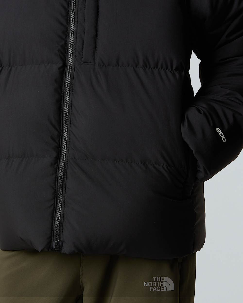 Boys North Down Hooded Jacket TNF alt9