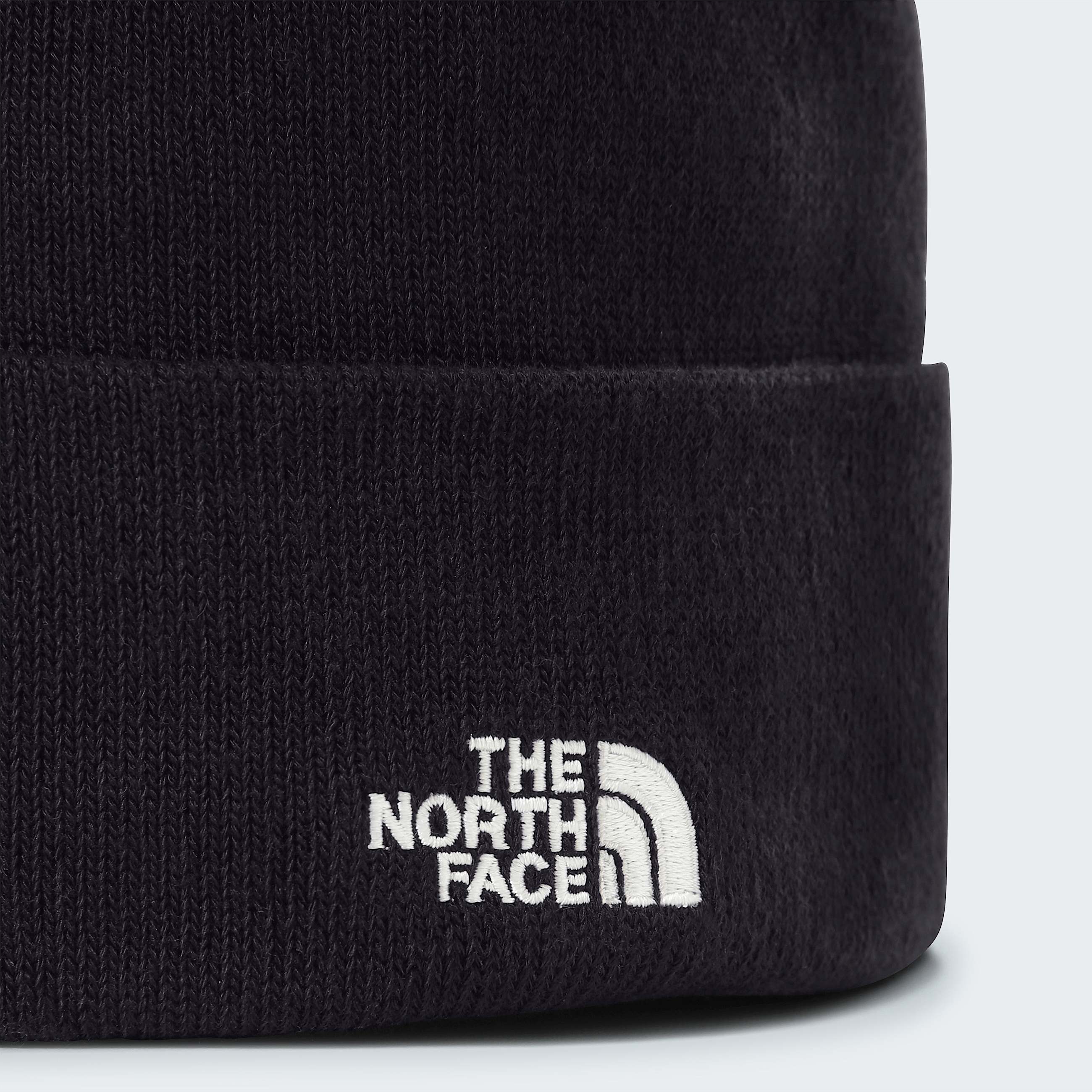 Beanie Norm TNF ALT2
