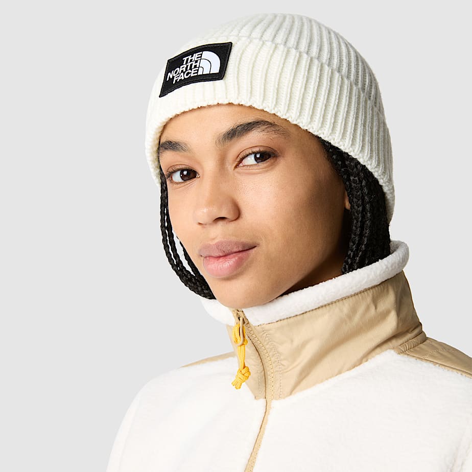TNF Logo Box Beanie mit Umschlag TNF ALT1