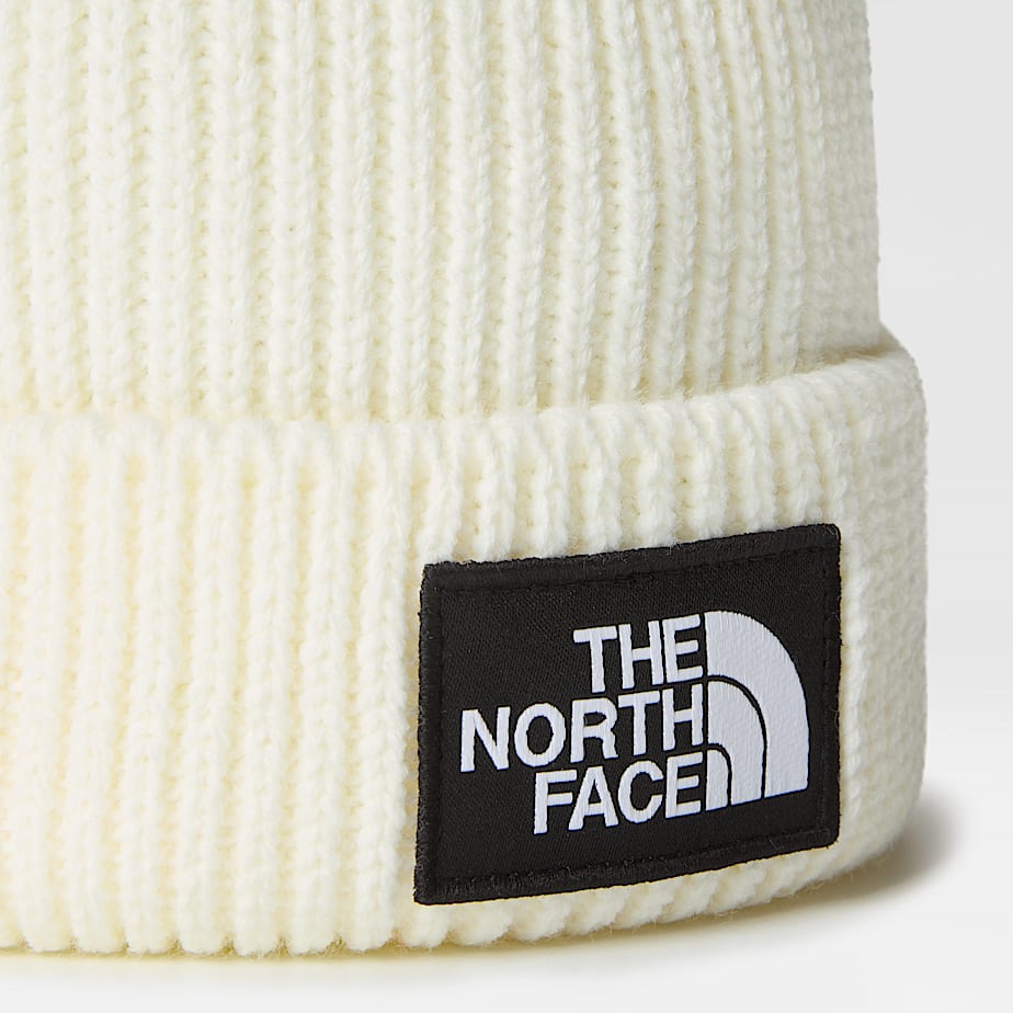 TNF Logo Box Beanie mit Umschlag TNF ALT2