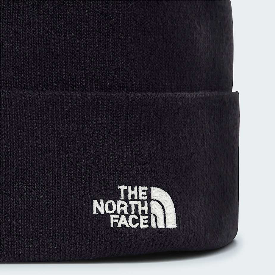 Beanie Norm TNF ALT2