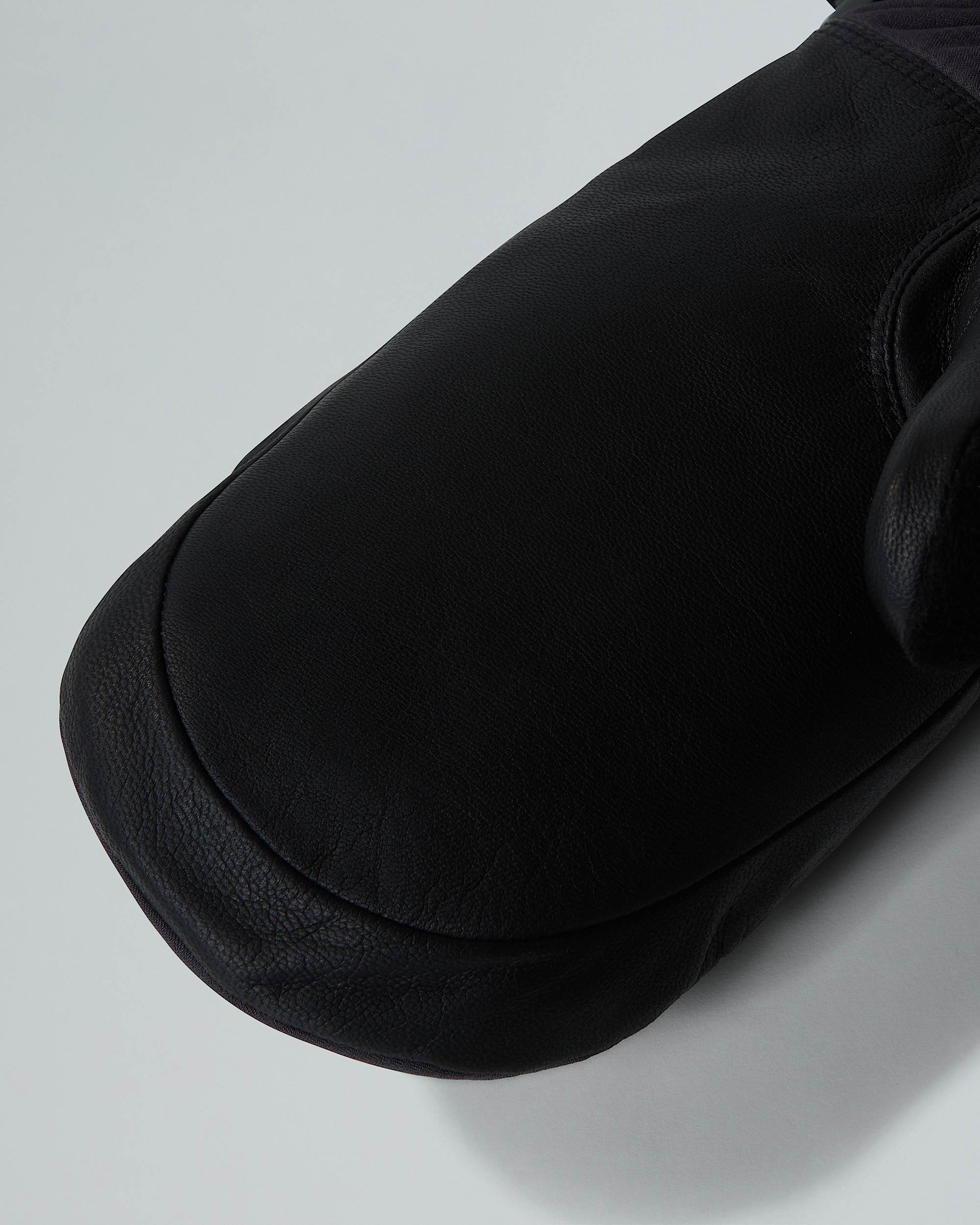 Montana Pro GORETEX Mittens TNF ALT2