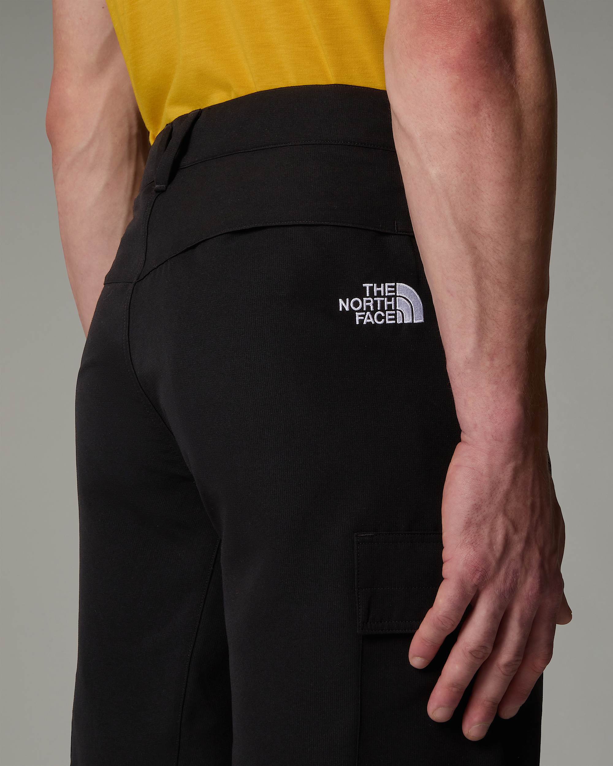 Horizonshort voor heren TNF alt10