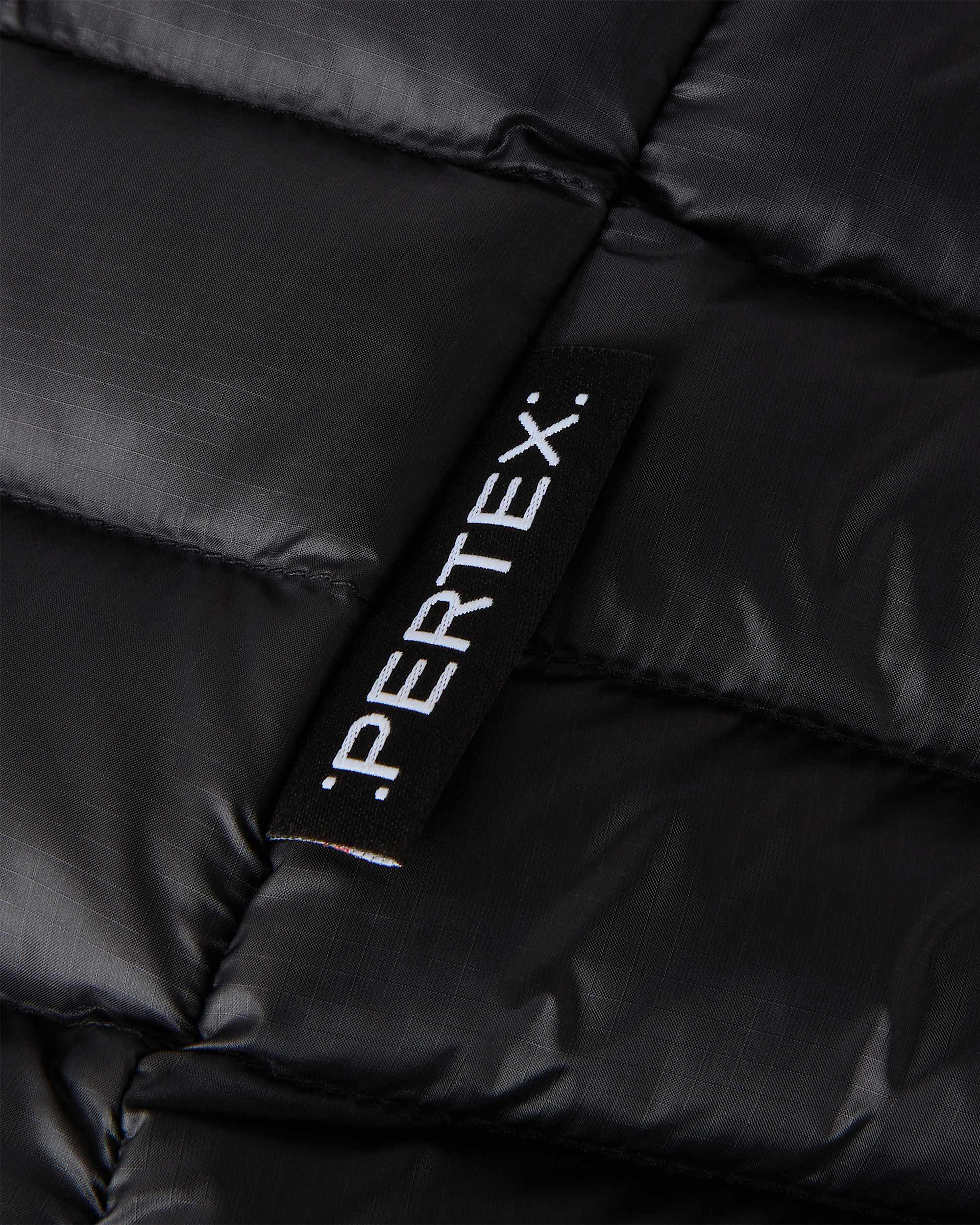 Veste  capuche Terra Peak pour femme TNF ALT18