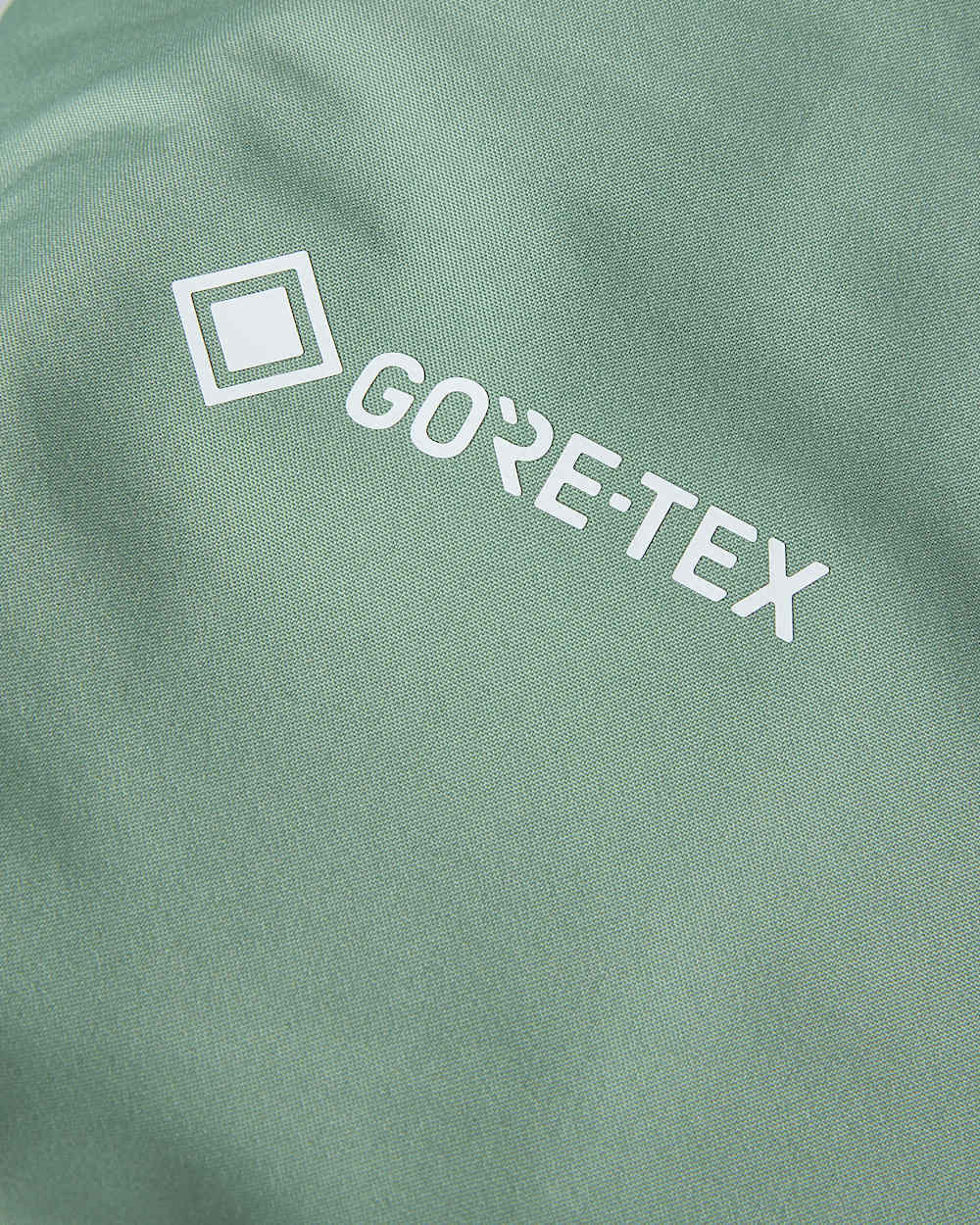 Mens Summit Eastwall GORETEX Jacket TNF ALT18