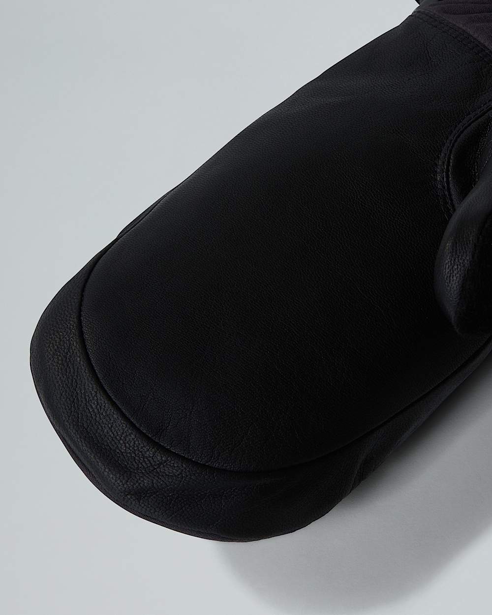 Montana Pro GORETEX Mittens TNF ALT2