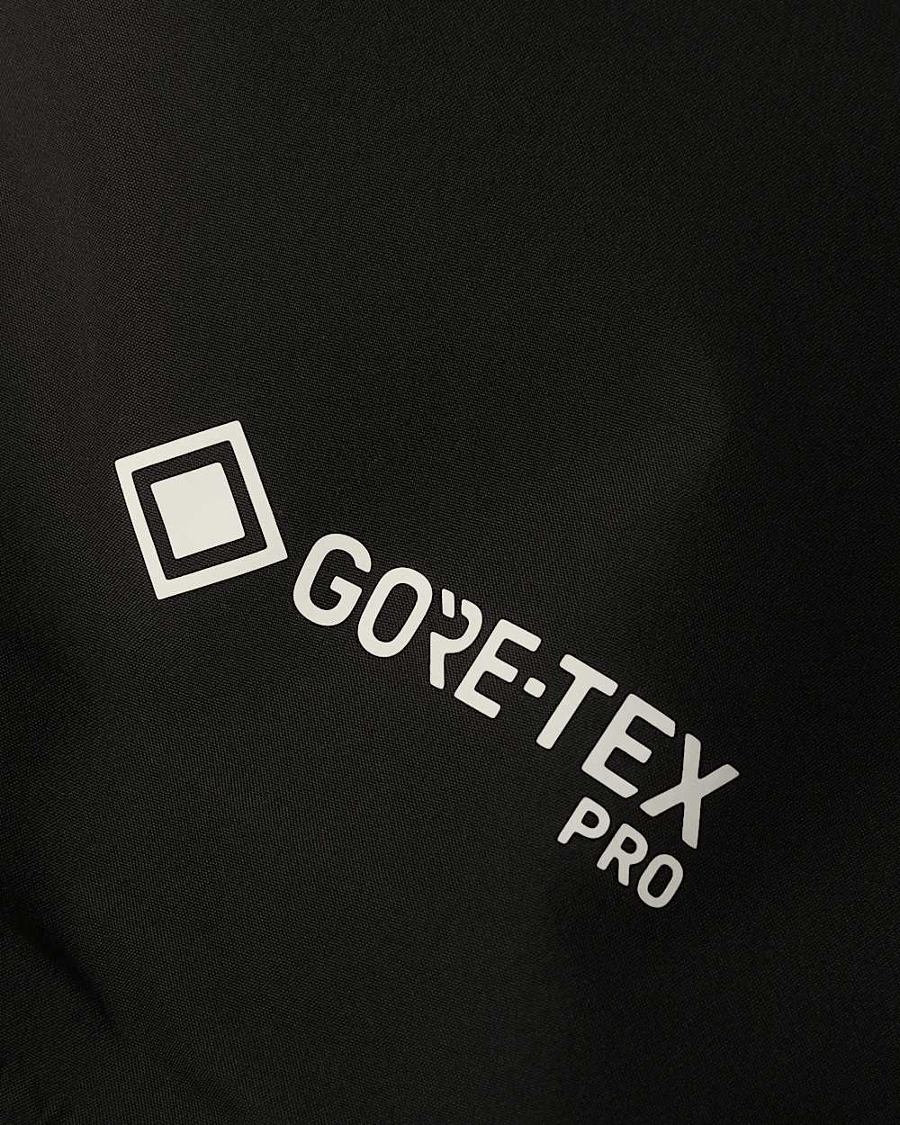   Summit Cayesh GORETEX Pro TNF alt18