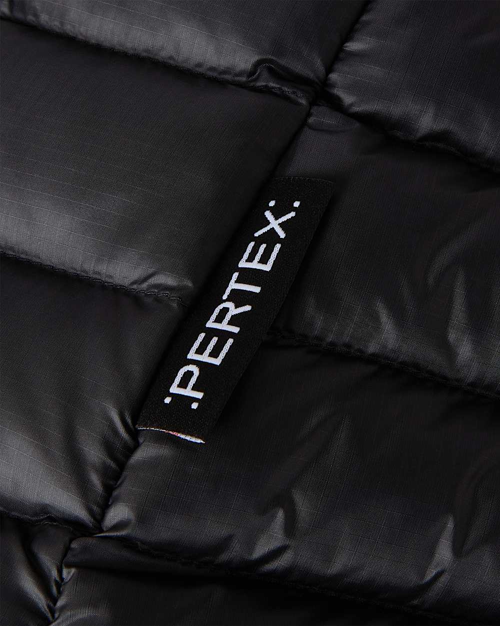 Veste  capuche Terra Peak pour femme TNF ALT18
