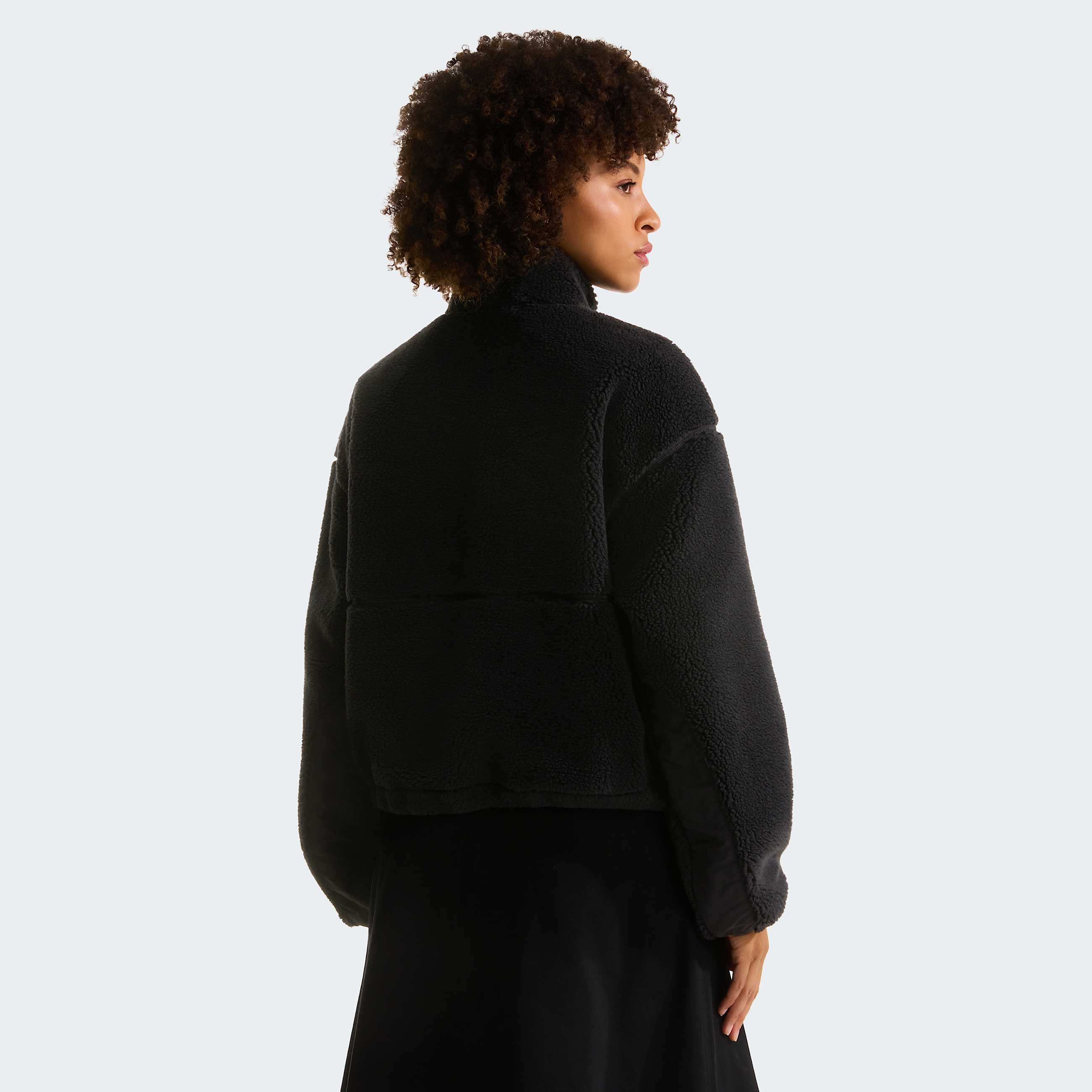 Extreme Pile Pullover 12 Zip W TNF ALT3