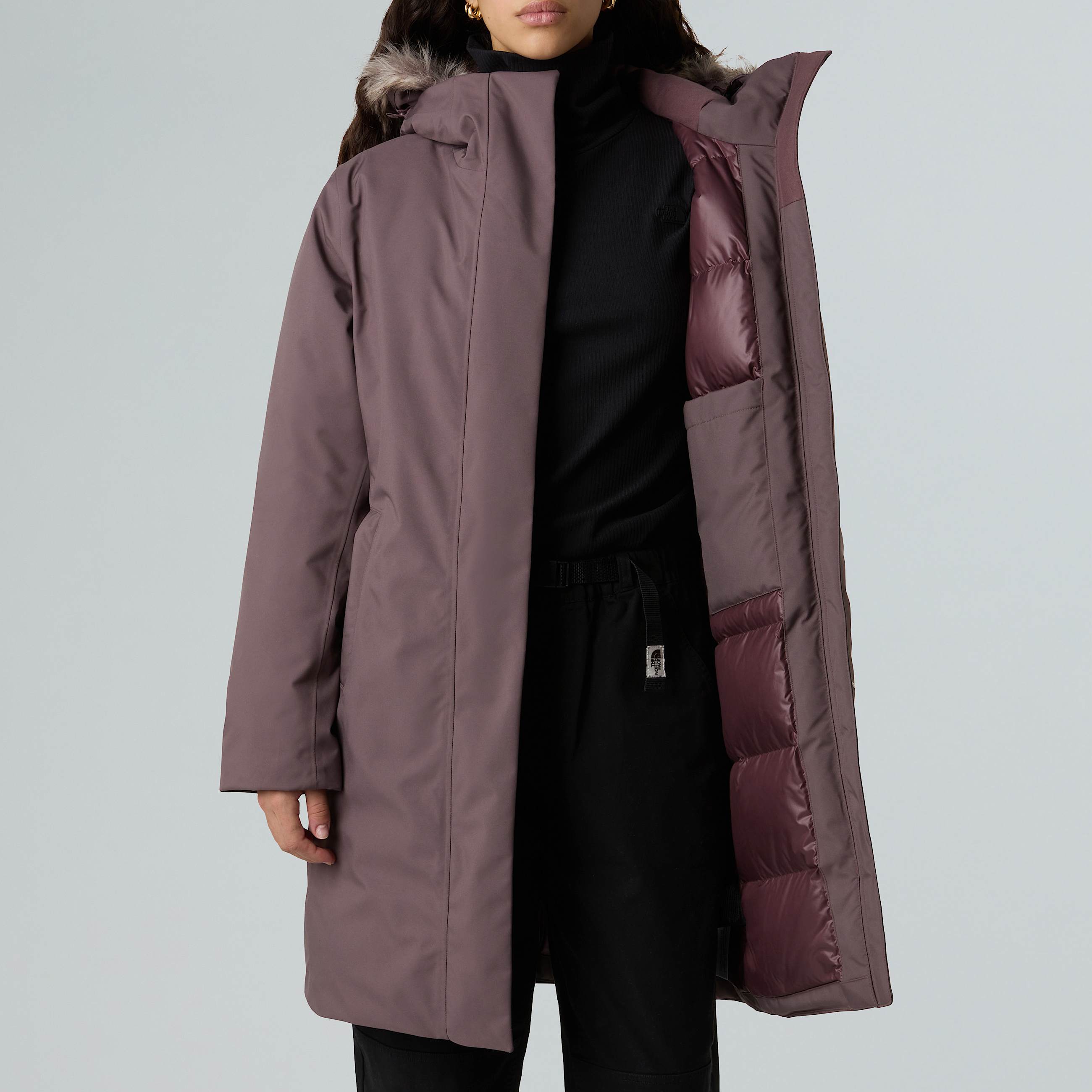 Arctic Parka W TNF ALT12