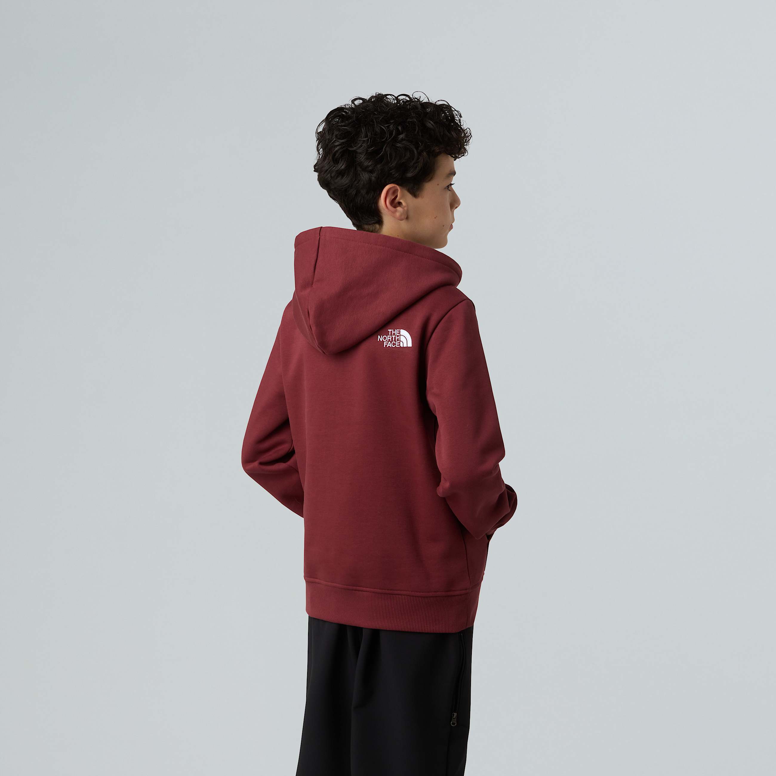 Drew Peak Pullover Hoodie Junior TNF ALT6