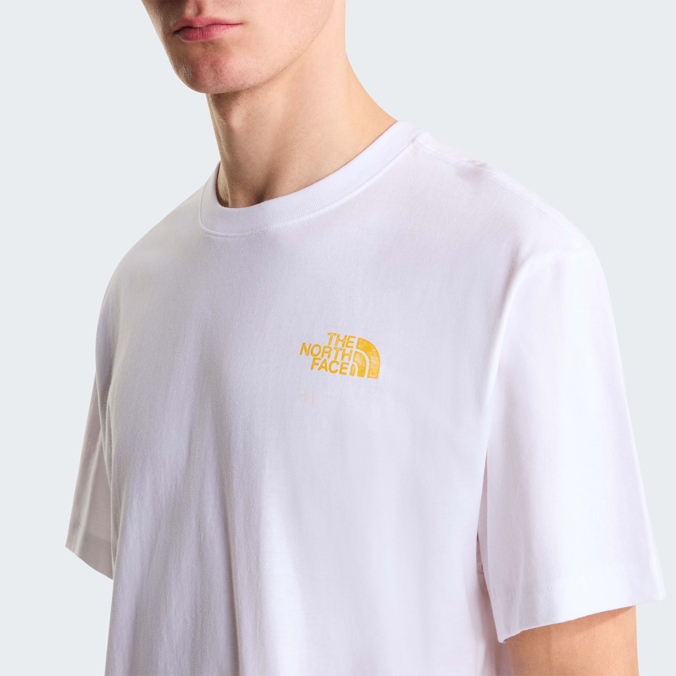 Tshirt dcontract Pitch A Tent pour homme TNF ALT4