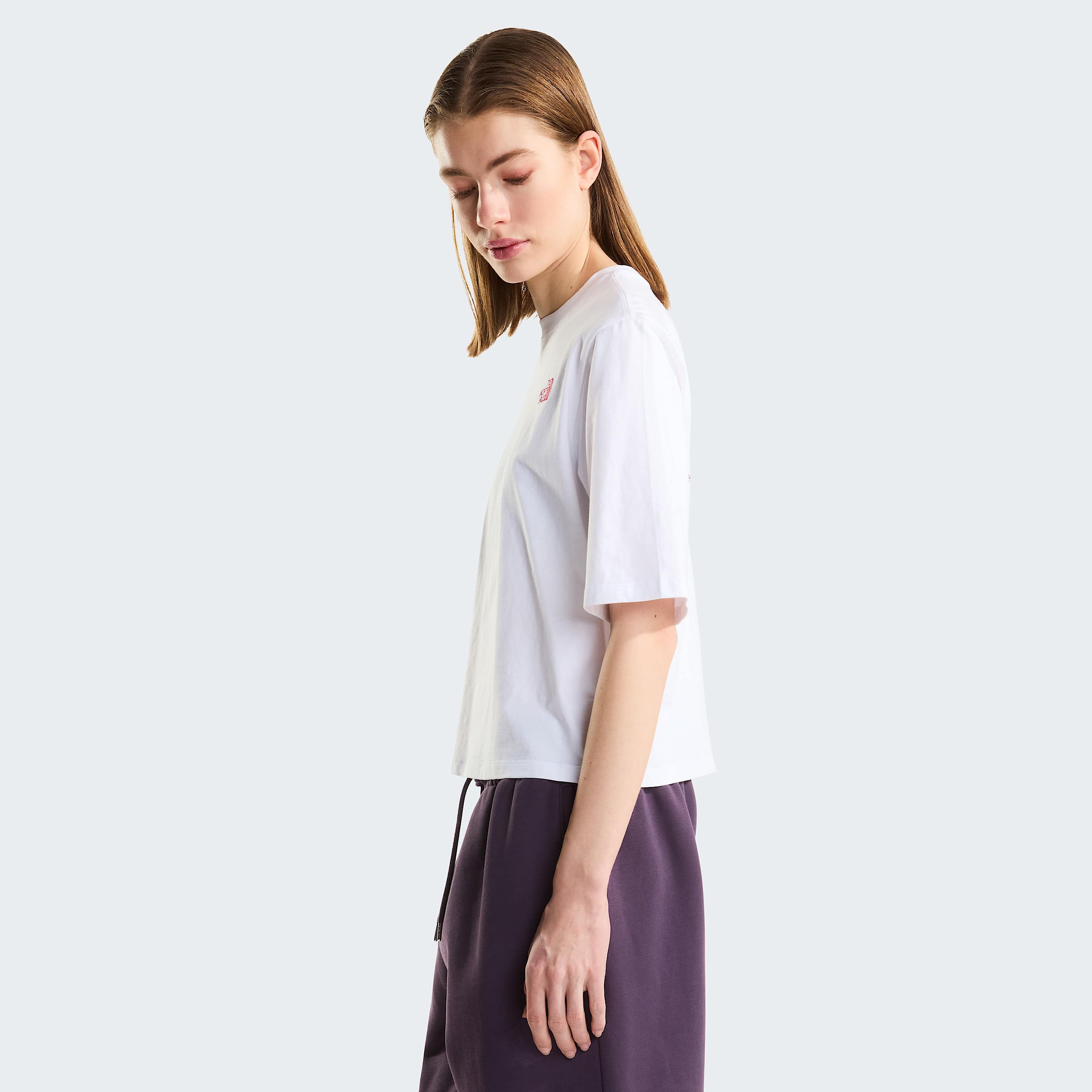 Tshirt graphique Hike Picnic coupe boxy pour femme TNF ALT3