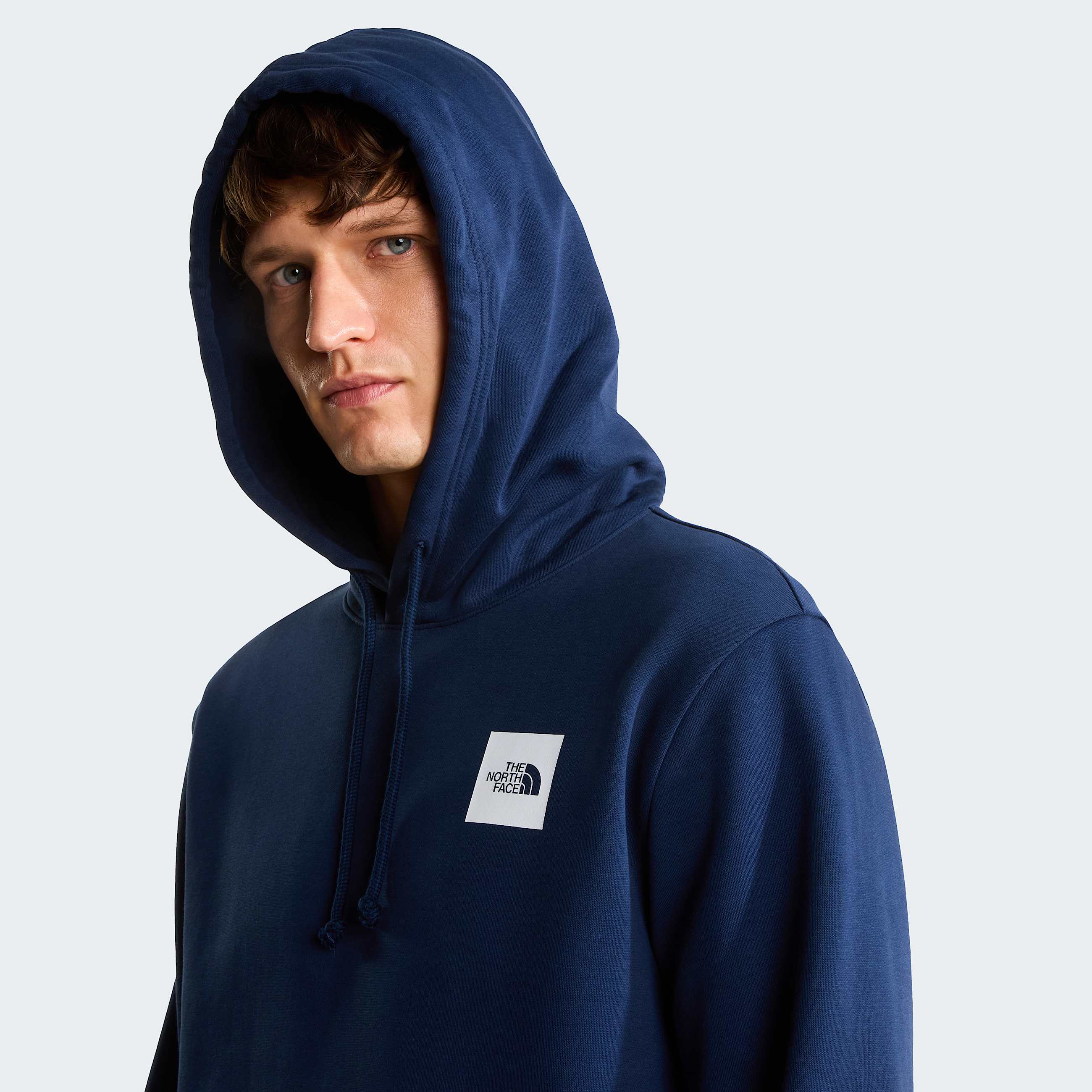 Sweat  capuche coupe standard Box Half Dome pour homme TNF ALT4
