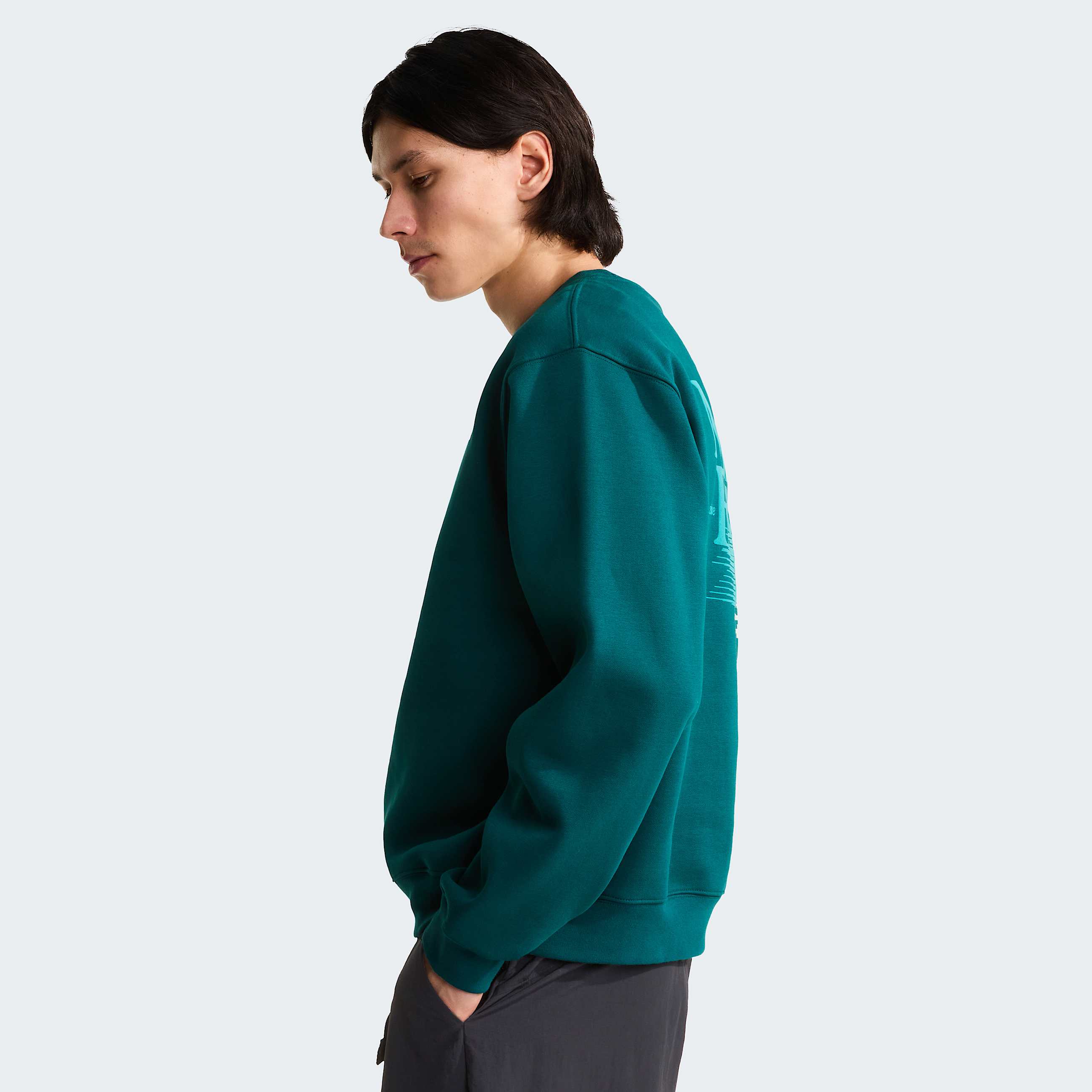 Sweat graphique dcontract Retro Trail pour homme TNF ALT3