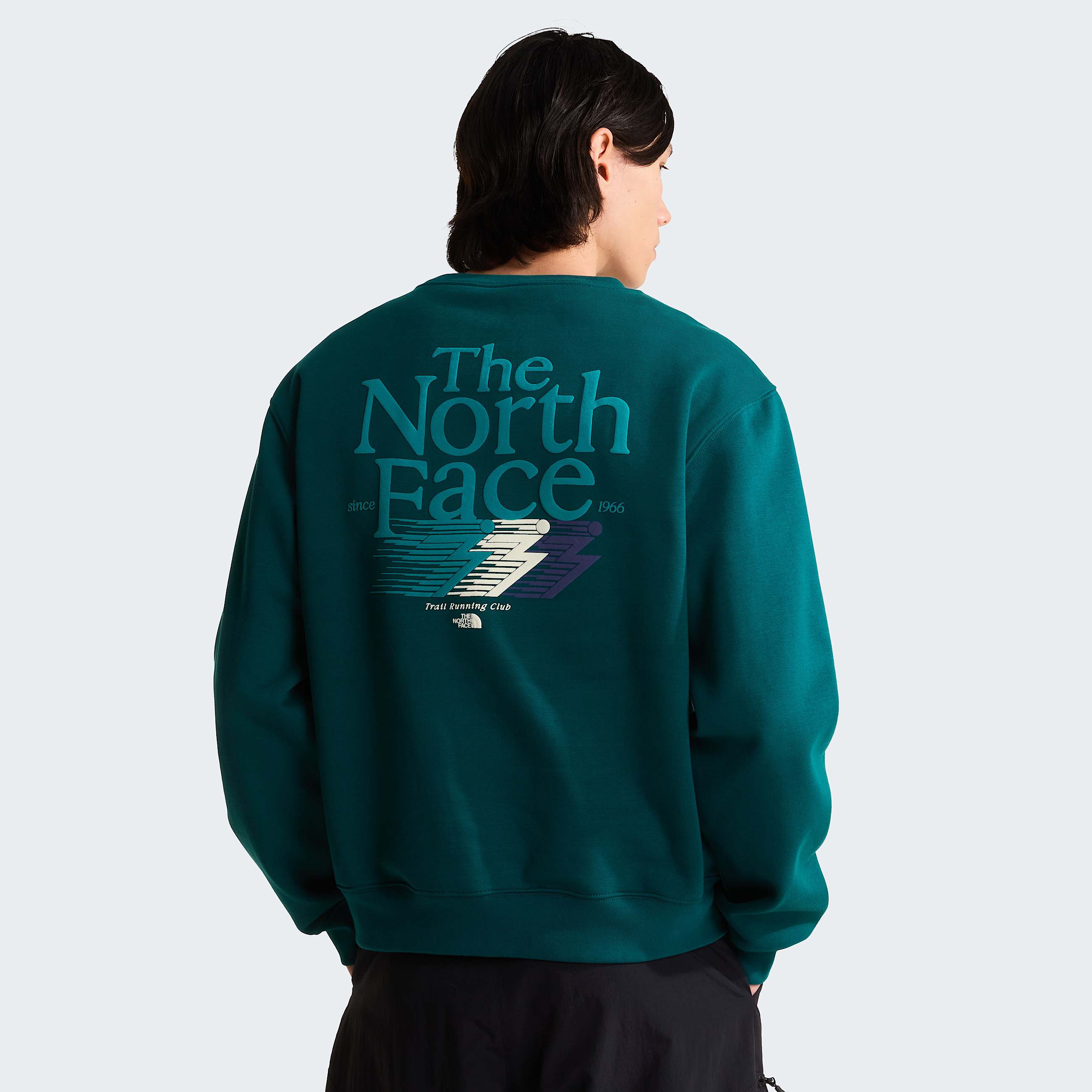 Sweat graphique dcontract Retro Trail pour homme TNF HERO