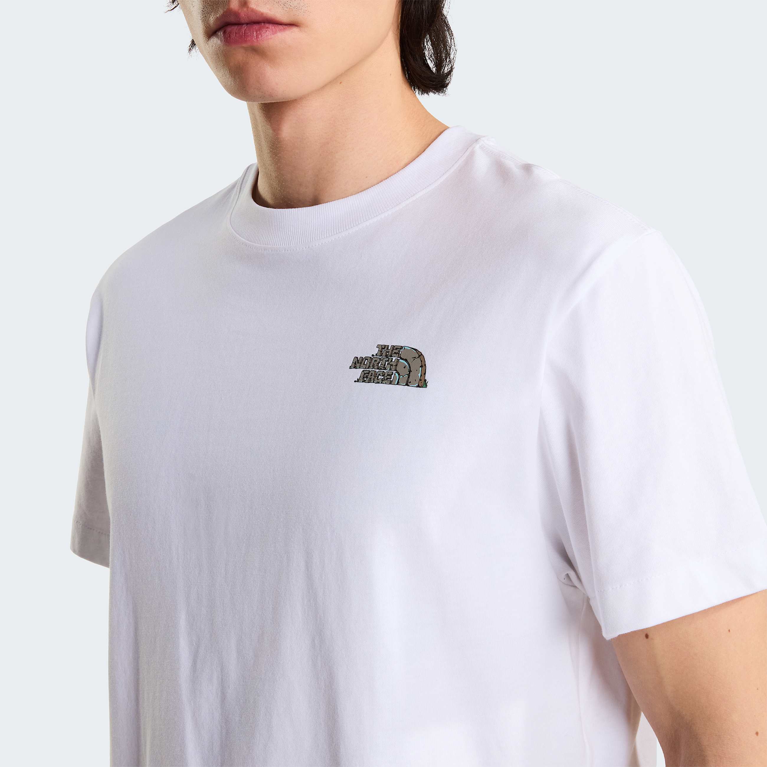 Tshirt Stone Logo Relaxed con grafica unisex TNF ALT6